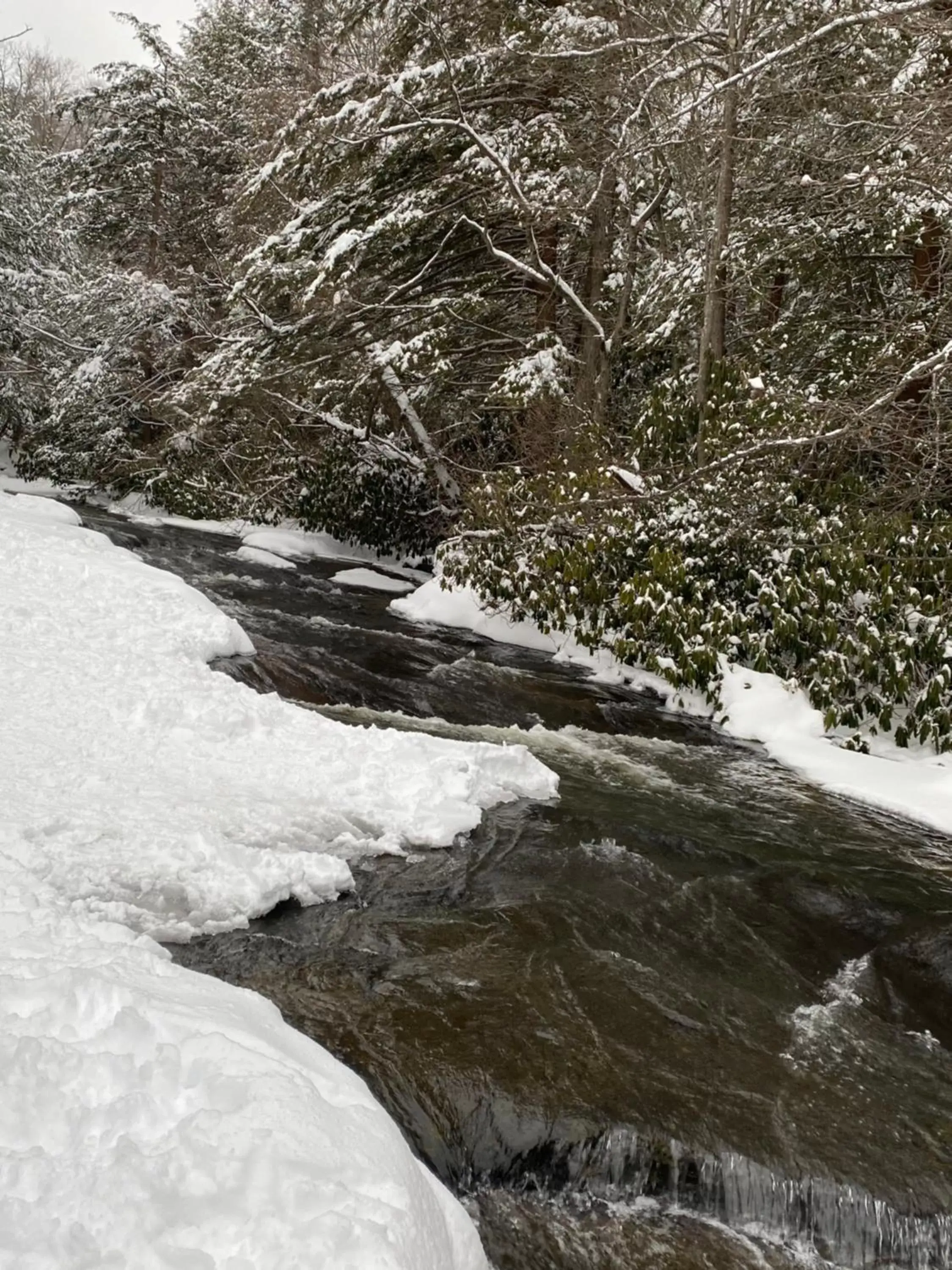 Natural landscape, Winter in The Garrett Inn