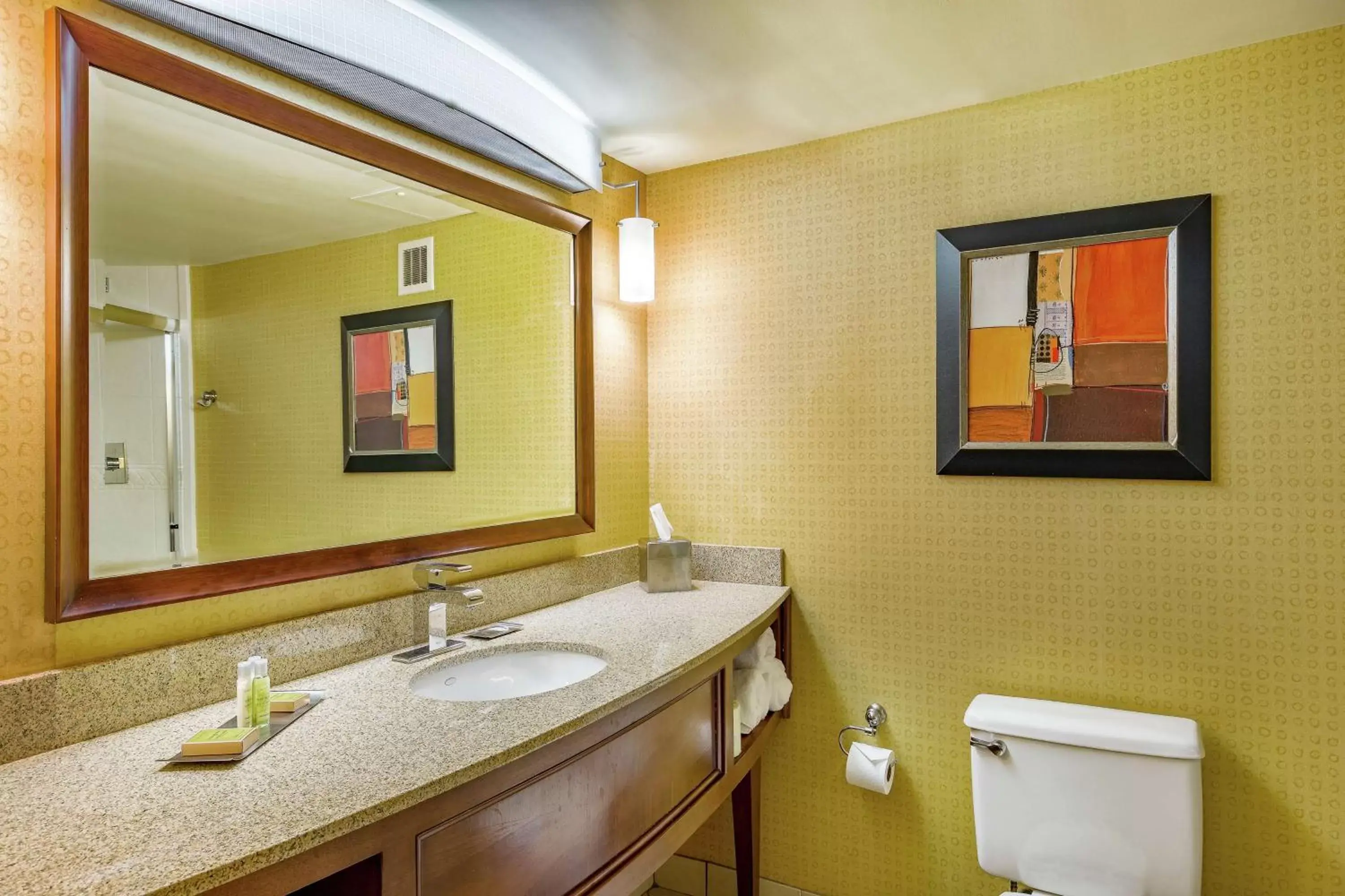 Bathroom in DoubleTree by Hilton Johnson City