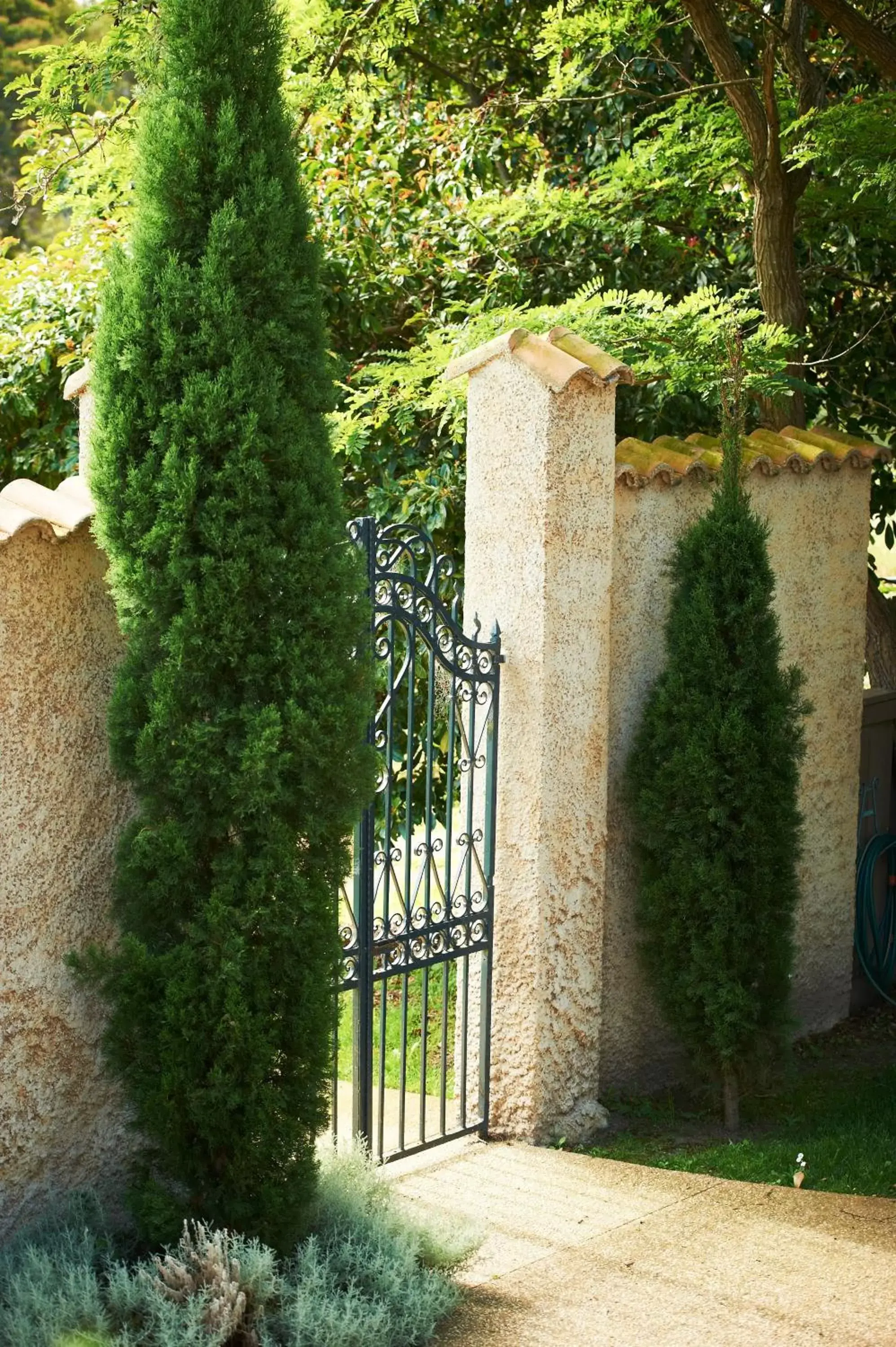 Garden in Villa Howden