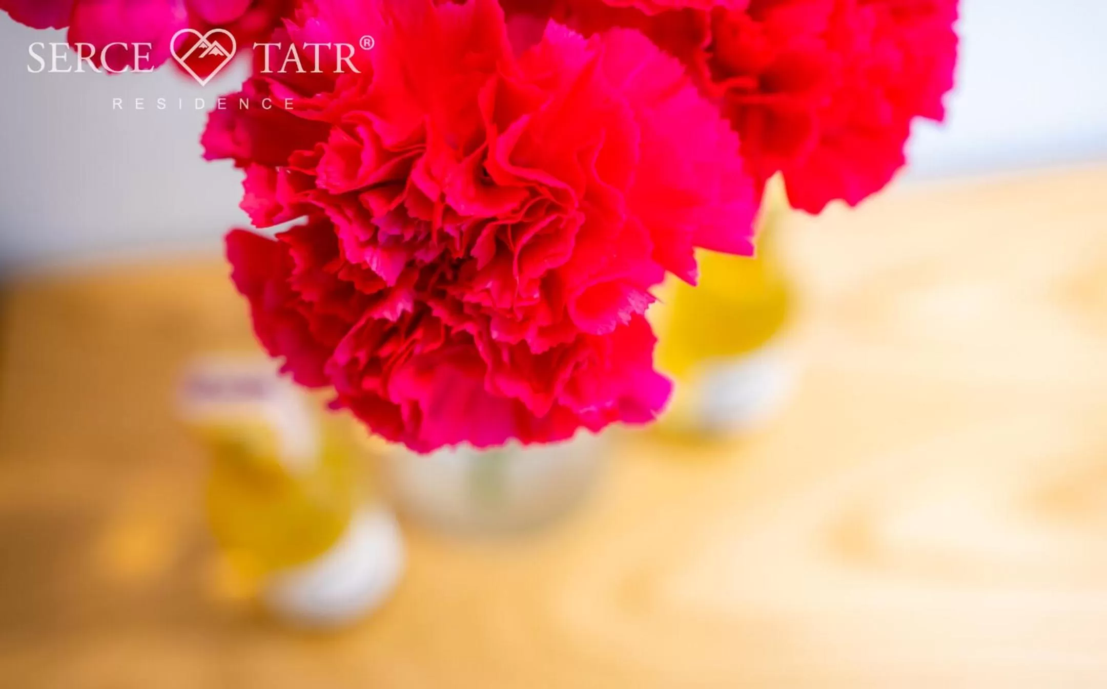 Serce Tatr Residence Zakopane - blisko Krupówek