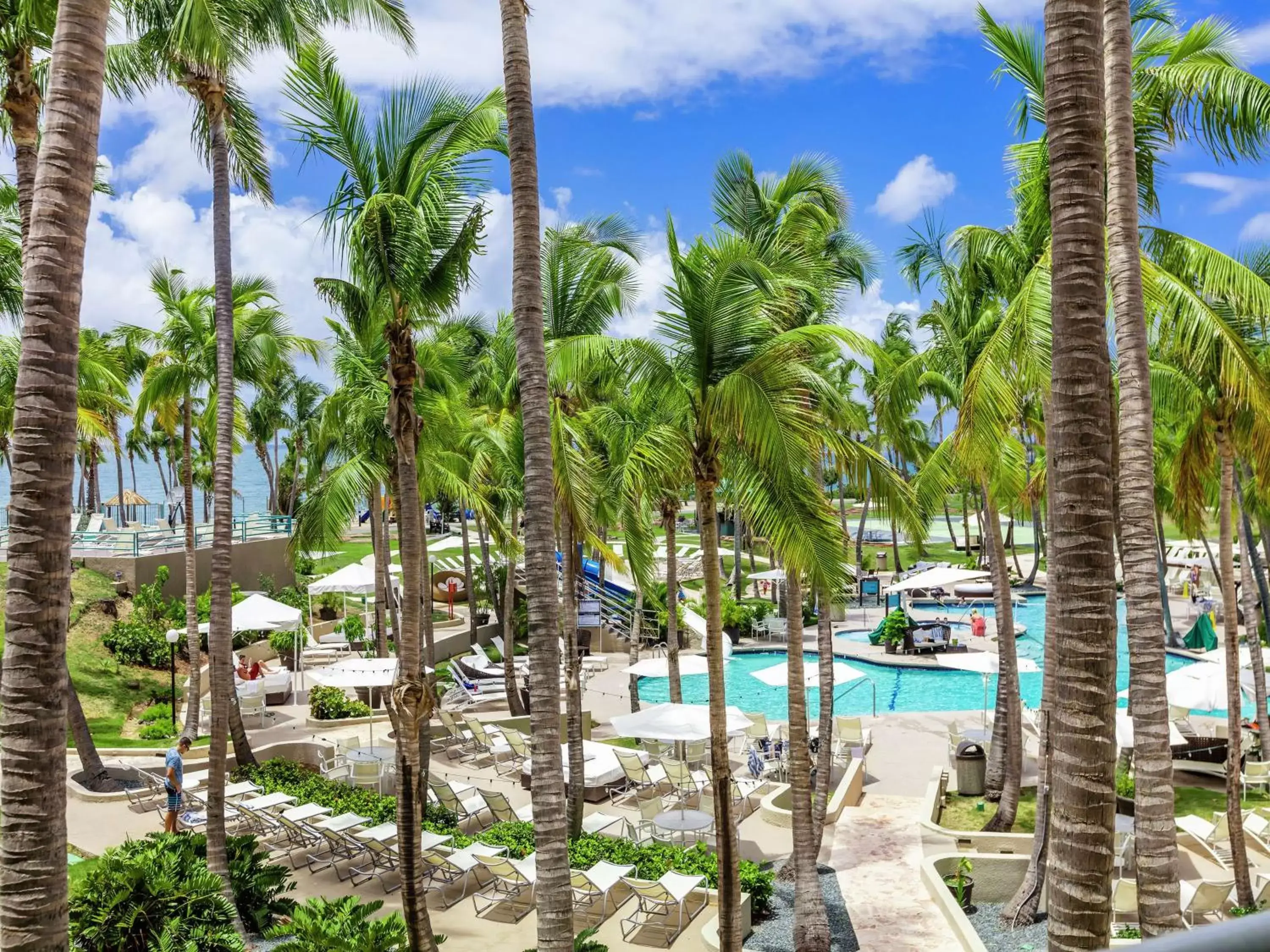 Property building, Pool View in Hilton Ponce Golf & Casino Resort