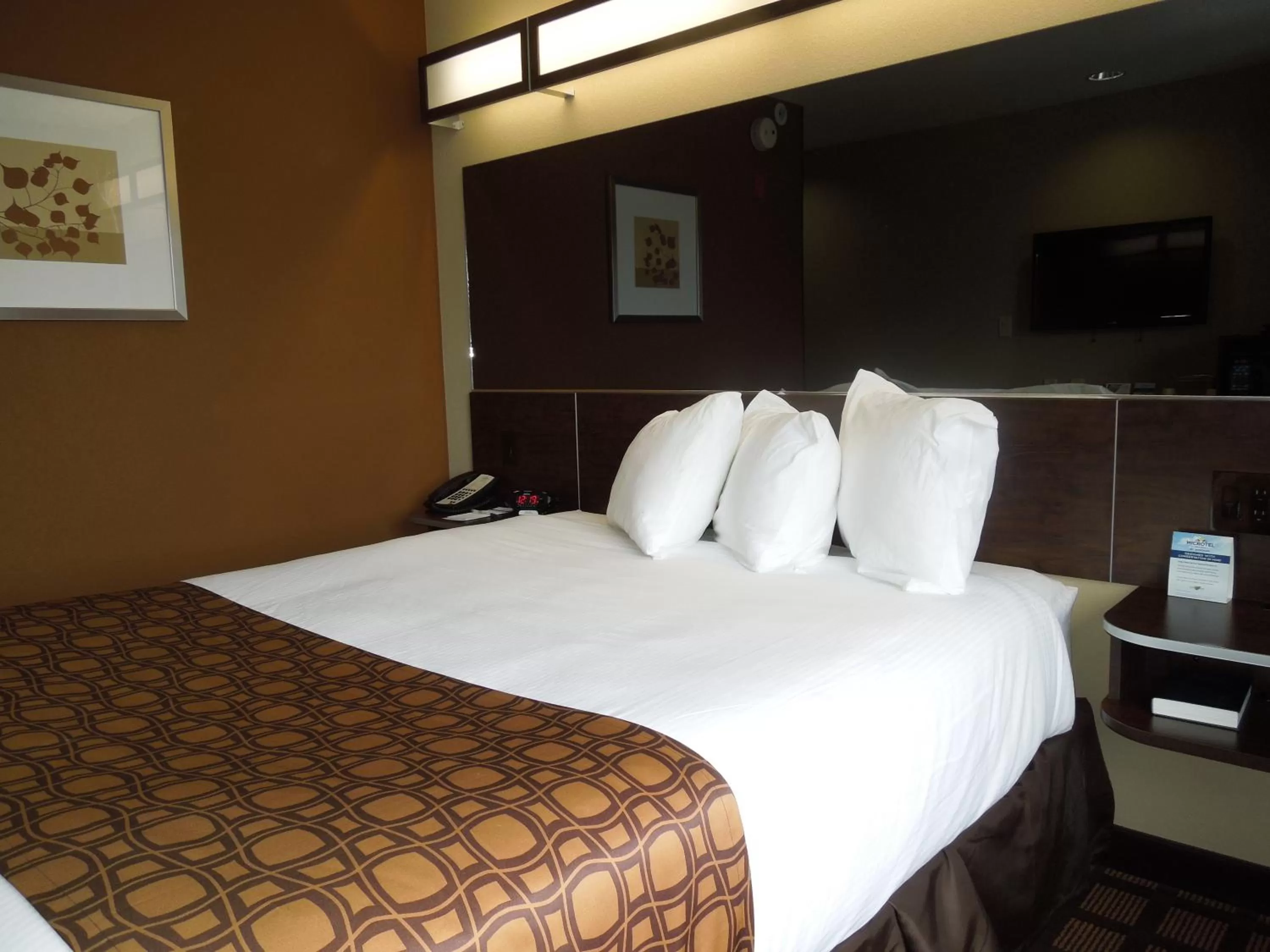Bed in Microtel Inn and Suites North Canton