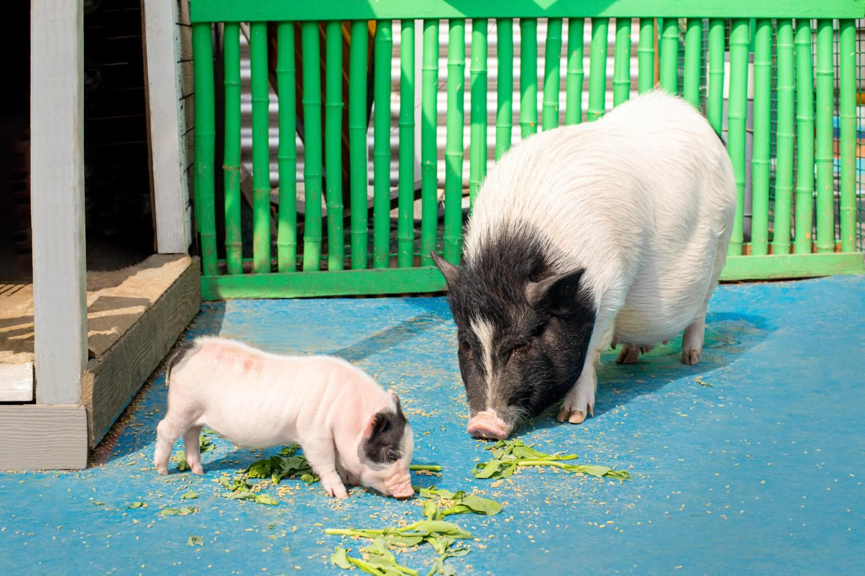 Fitness centre/facilities in Crowne Plaza Shanghai Xiayang Lake by IHG