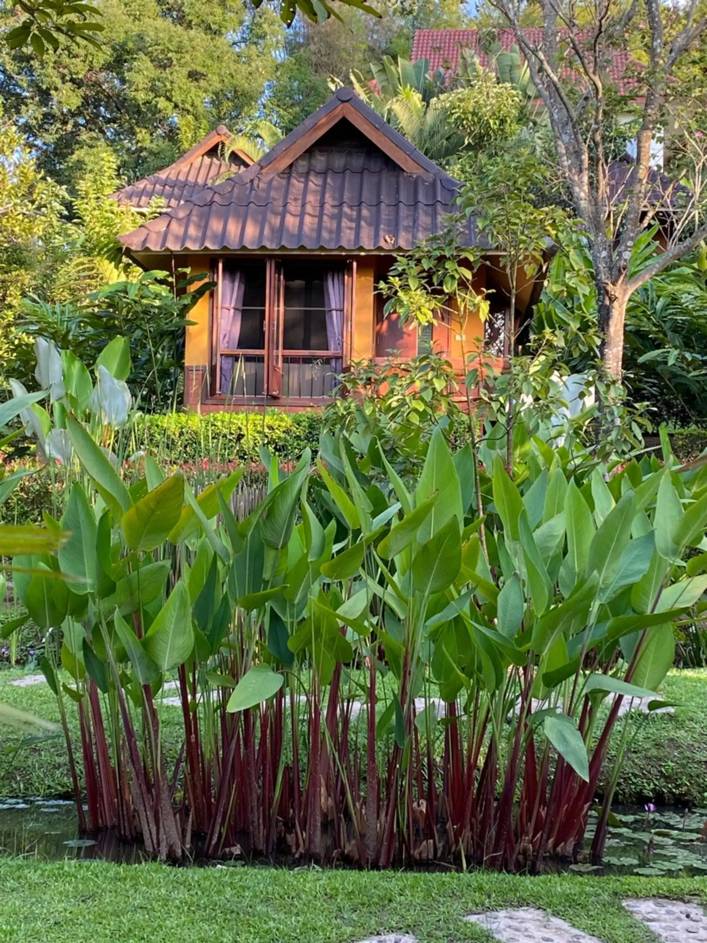 Garden view, Property Building in Pura Vida Pai Resort