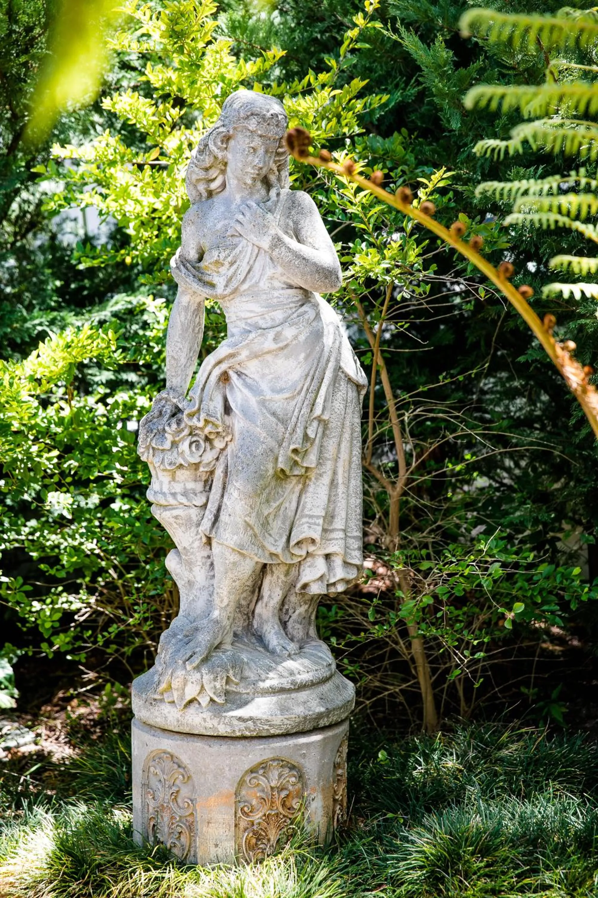 Garden in 5 Camp Street Guesthouse & Self-catering