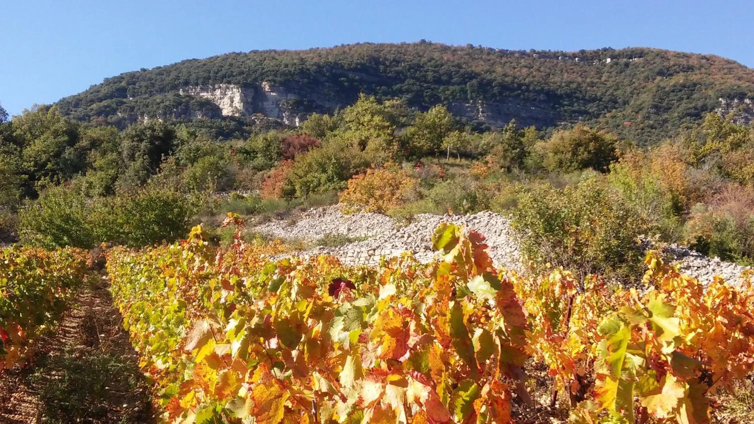 Off site, Natural Landscape in L'Auberge du Mazet