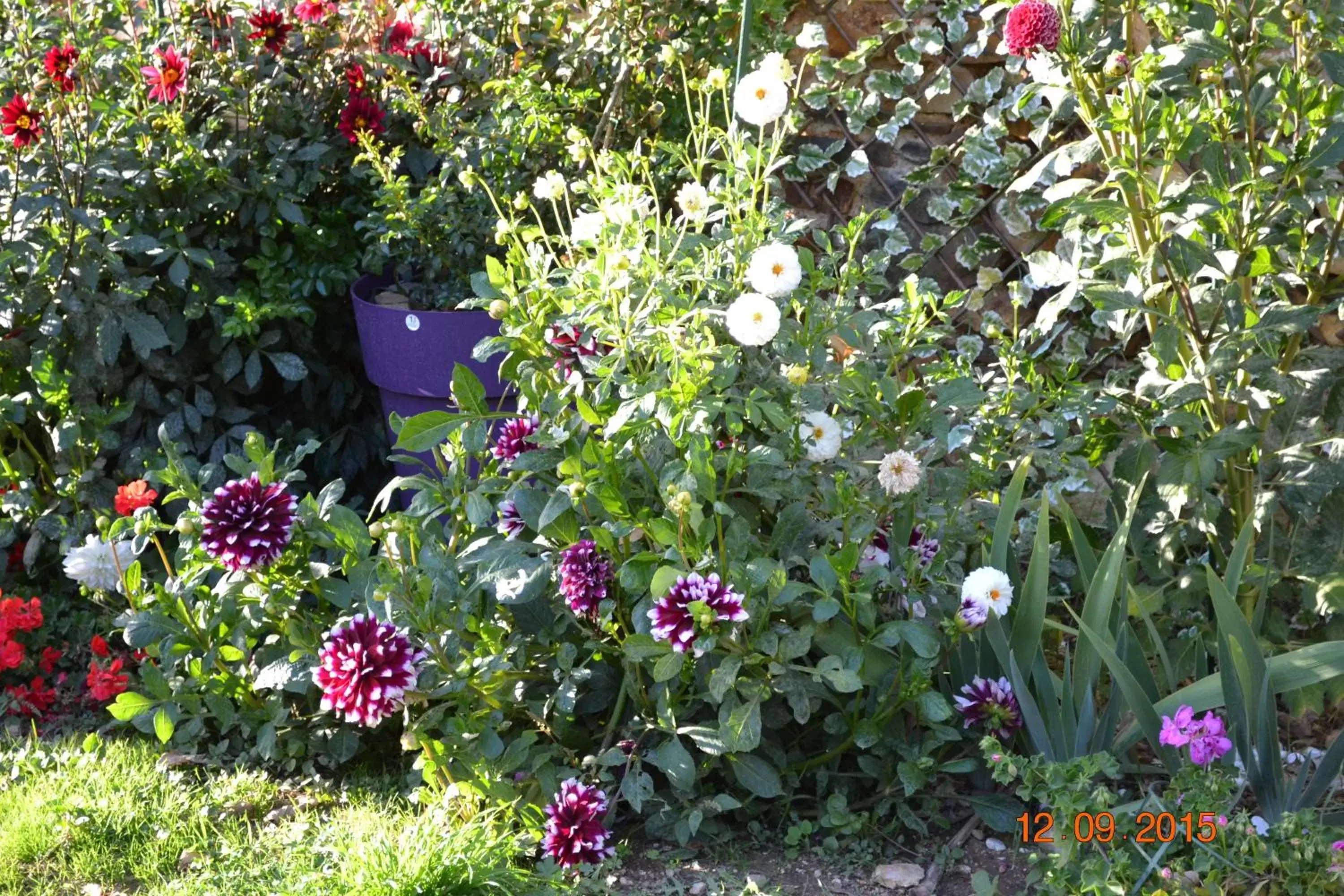 Garden in Hôtel Le Castel