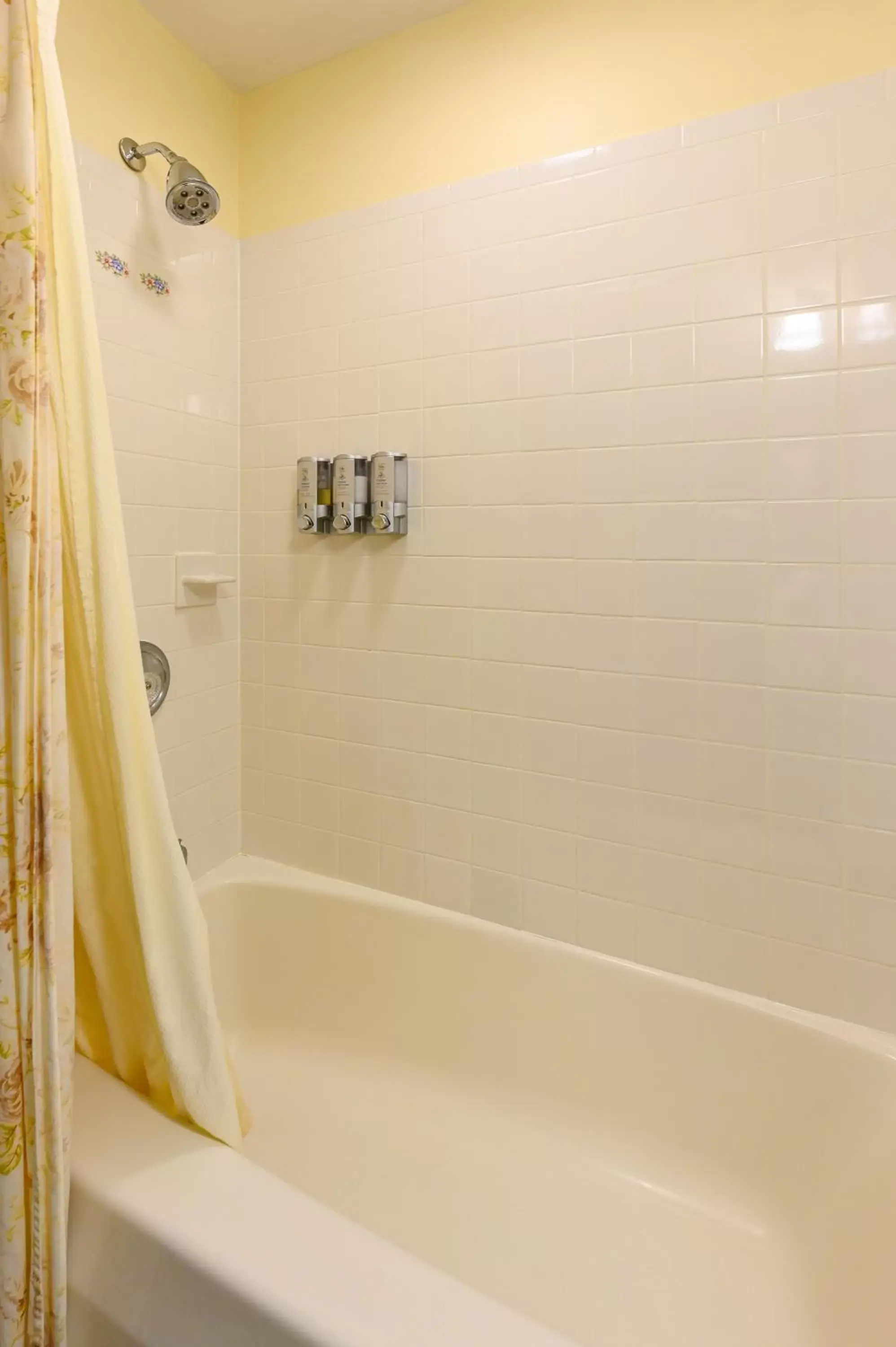 Bathroom in Brass Lantern Inn