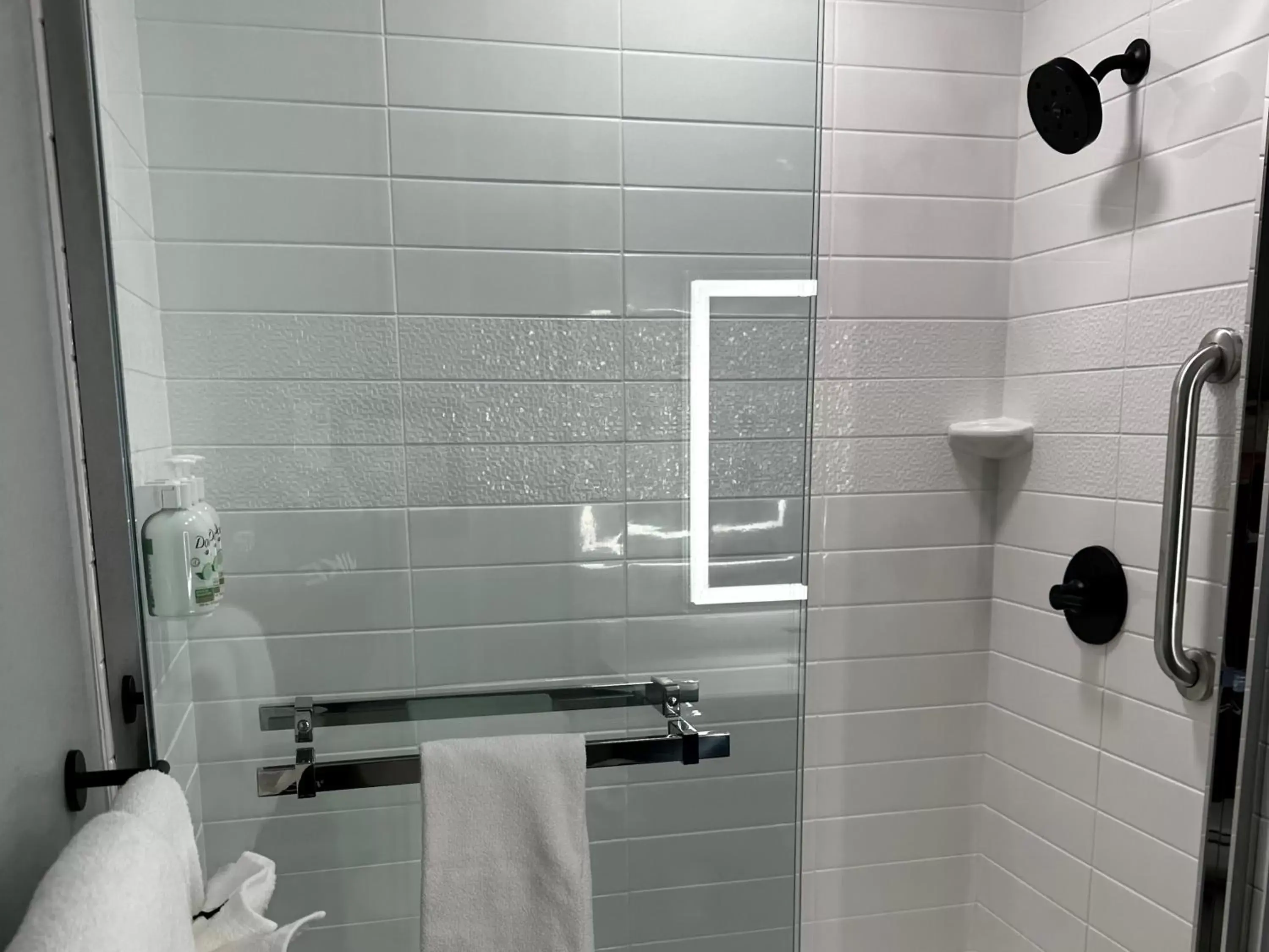 Shower, Bathroom in AmericInn by Wyndham Mountain Home