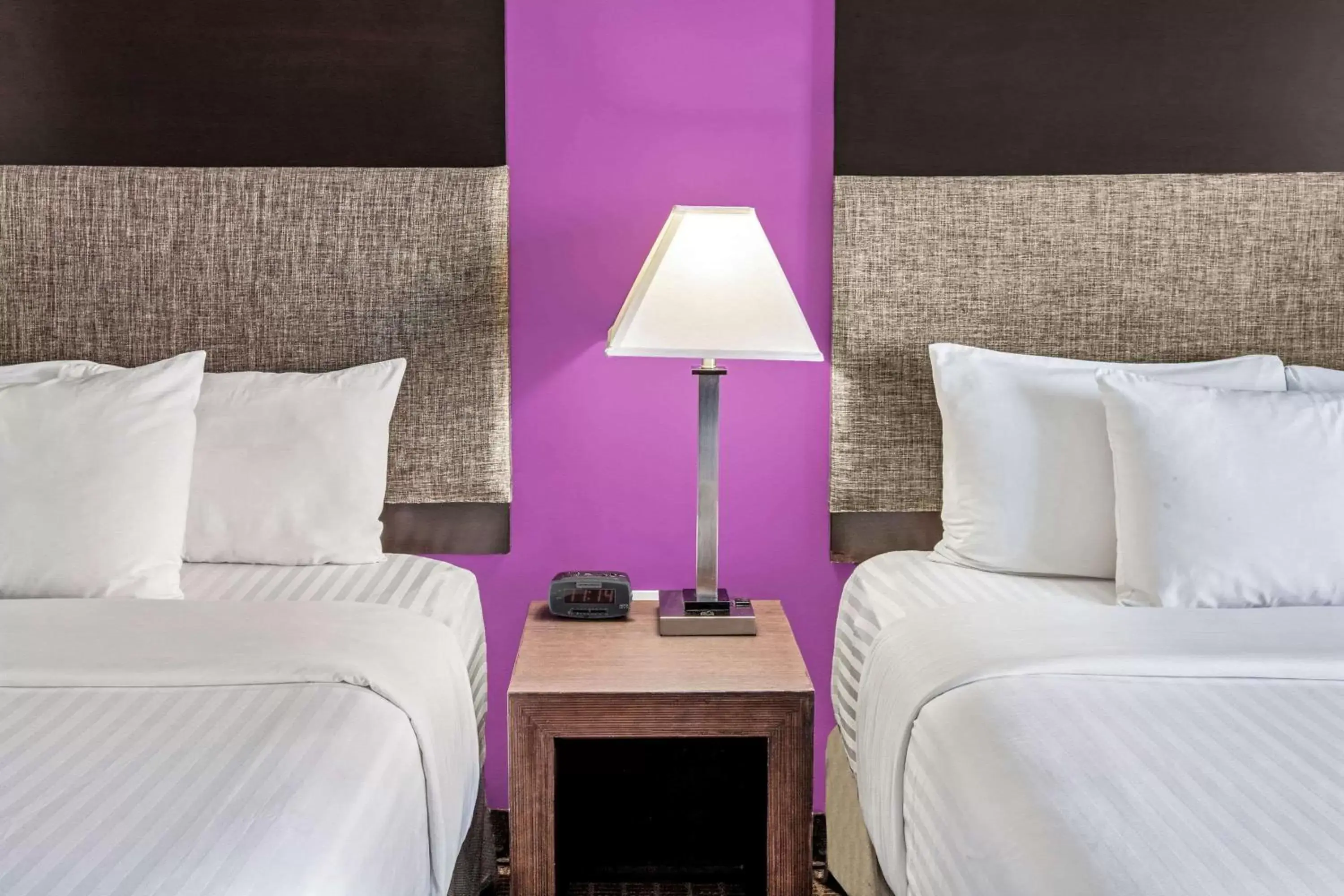 Photo of the whole room, Bed in CHN Hotel Monterrey Centro, Trademark Collection by Wyndham