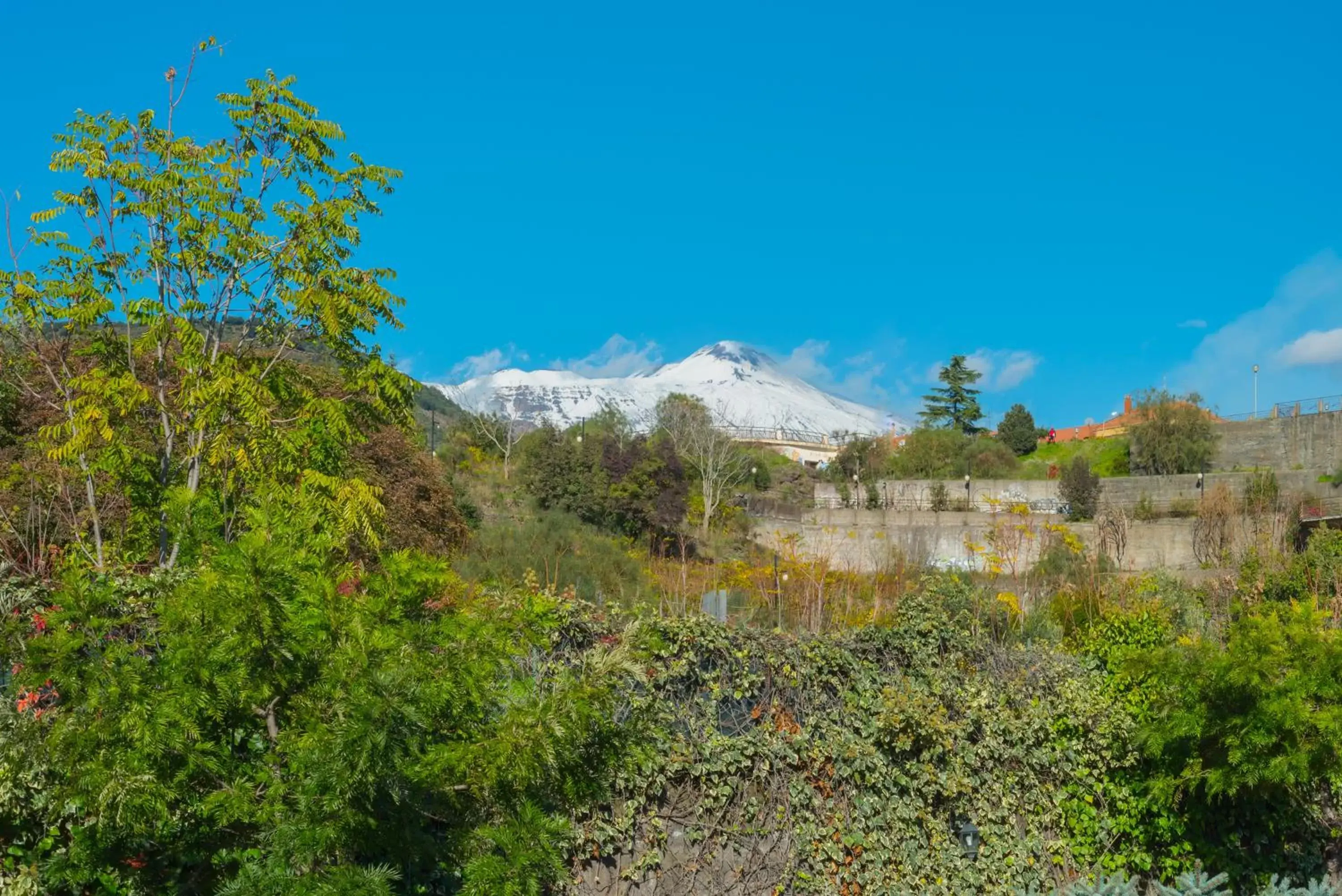 View (from property/room) in B&B BOUTIQUE DI CHARME "ETNA-RELAX-NATURA"