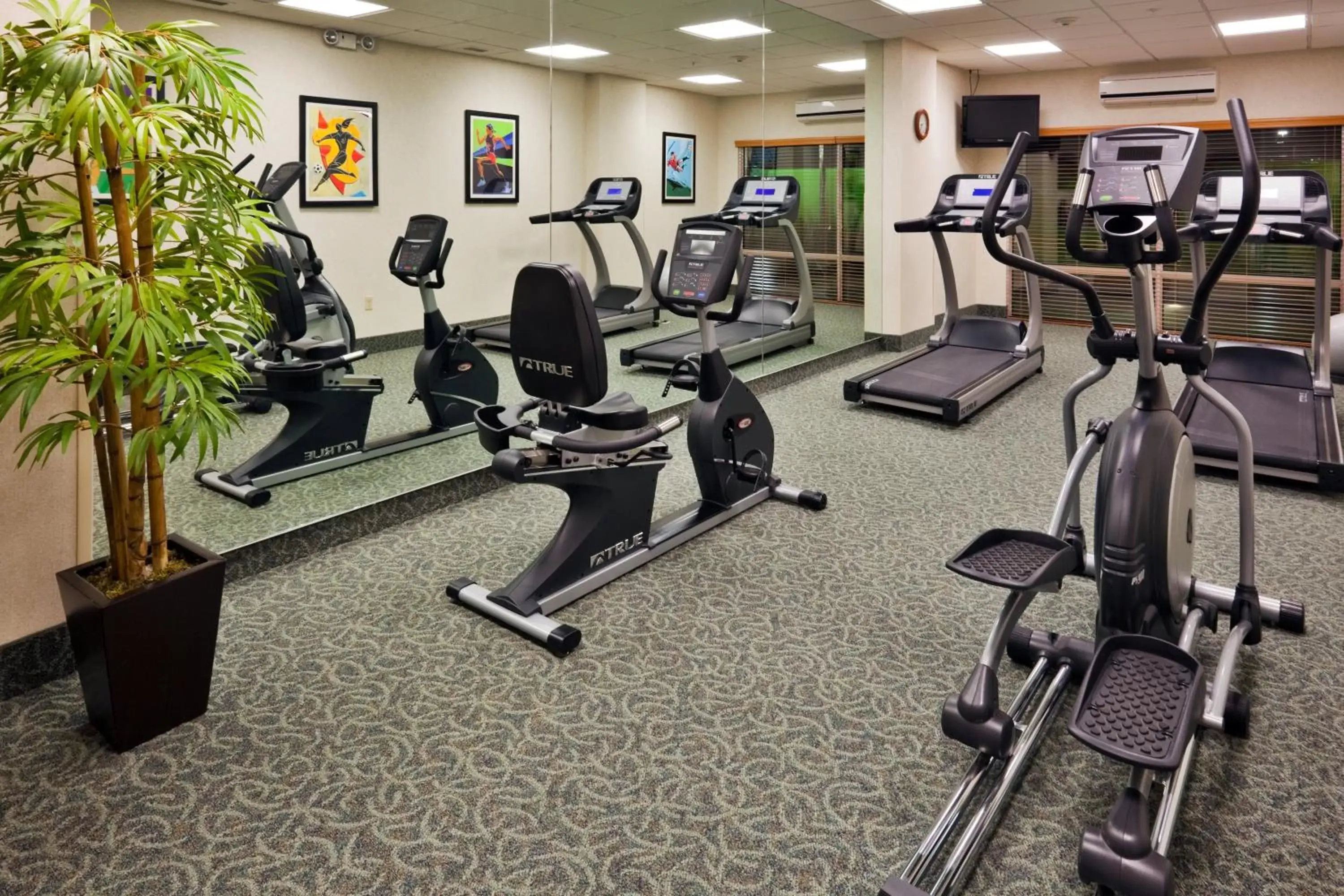 Fitness centre/facilities, Fitness Center/Facilities in Holiday Inn Express & Suites Toluca Zona Aeropuerto, an IHG Hotel