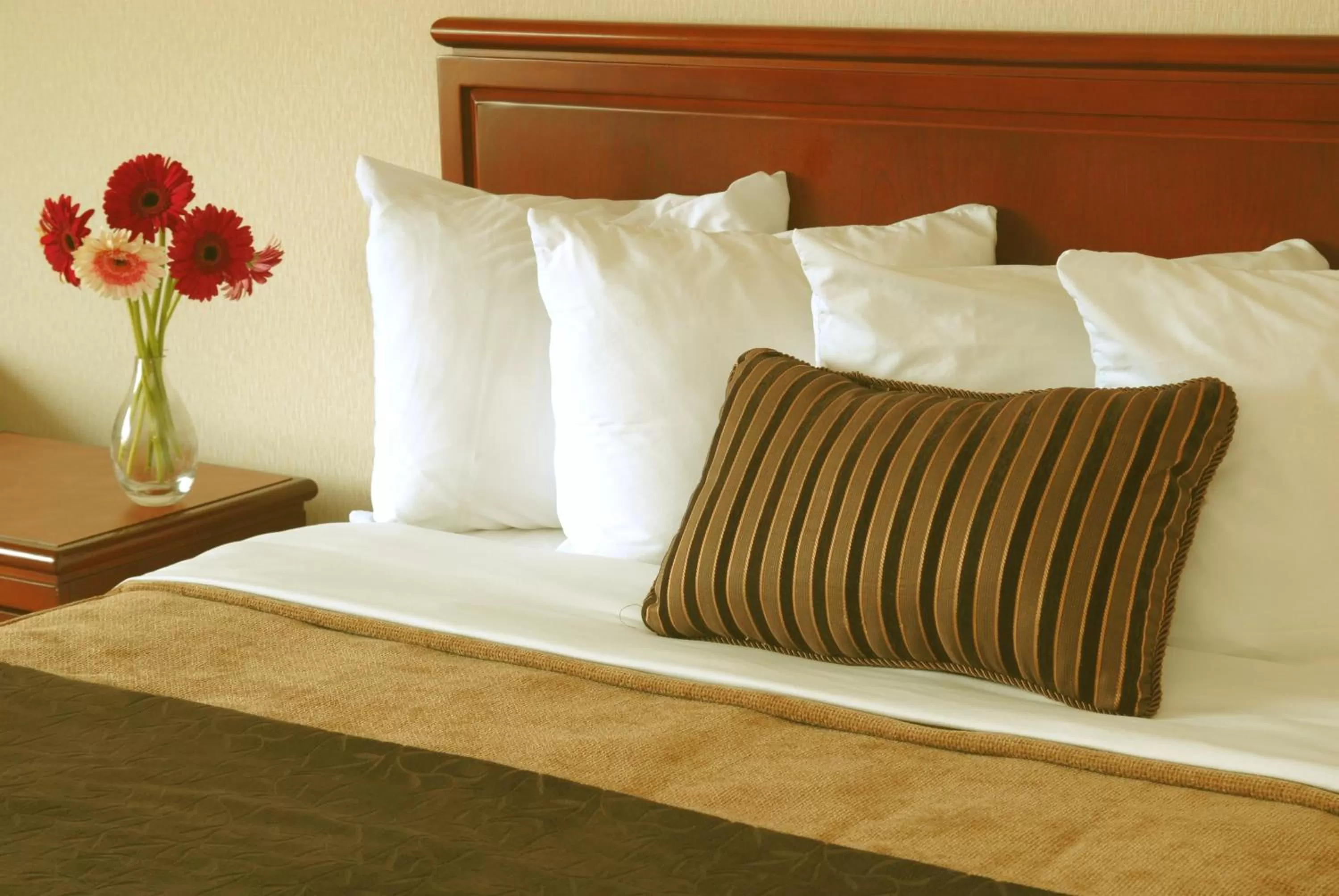 Bed in Quality Inn and Suites Montreal East