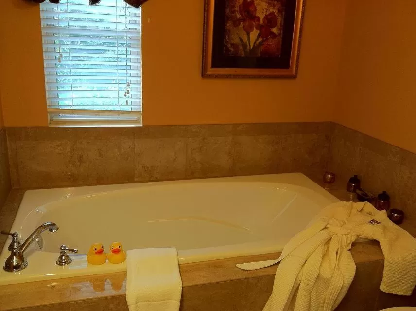 Bathroom in Brookside Mountain Mist Inn