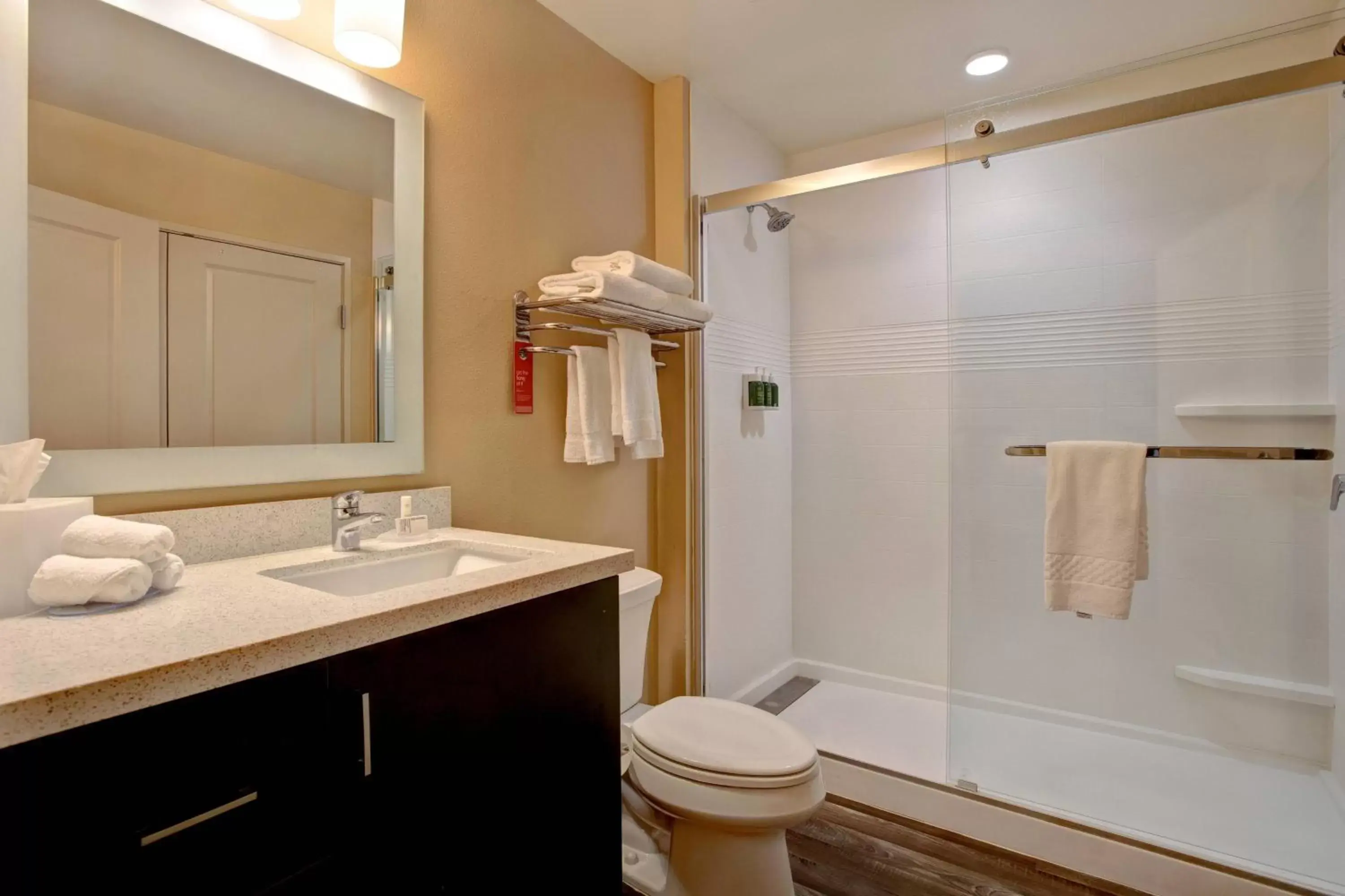 Bathroom in TownePlace Suites by Marriott Austin Round Rock