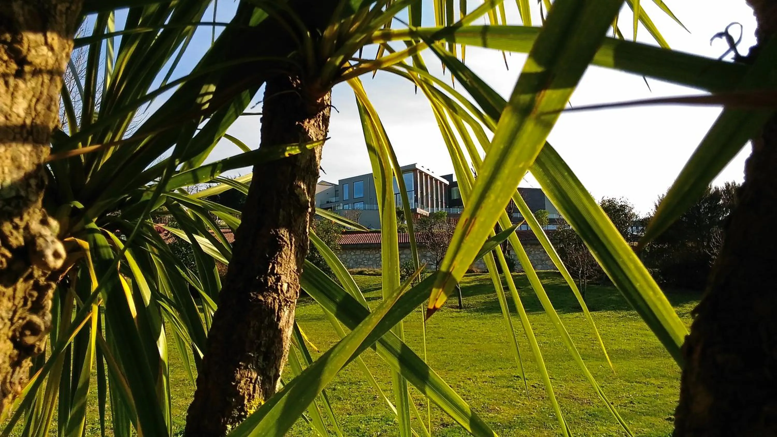 Off site in Tempus Hotel & Spa