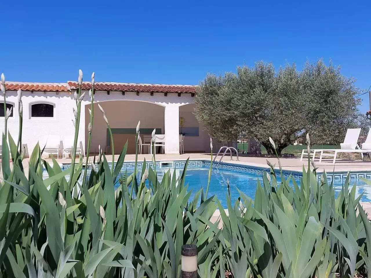 Property building, Swimming Pool in Croissant de Lune