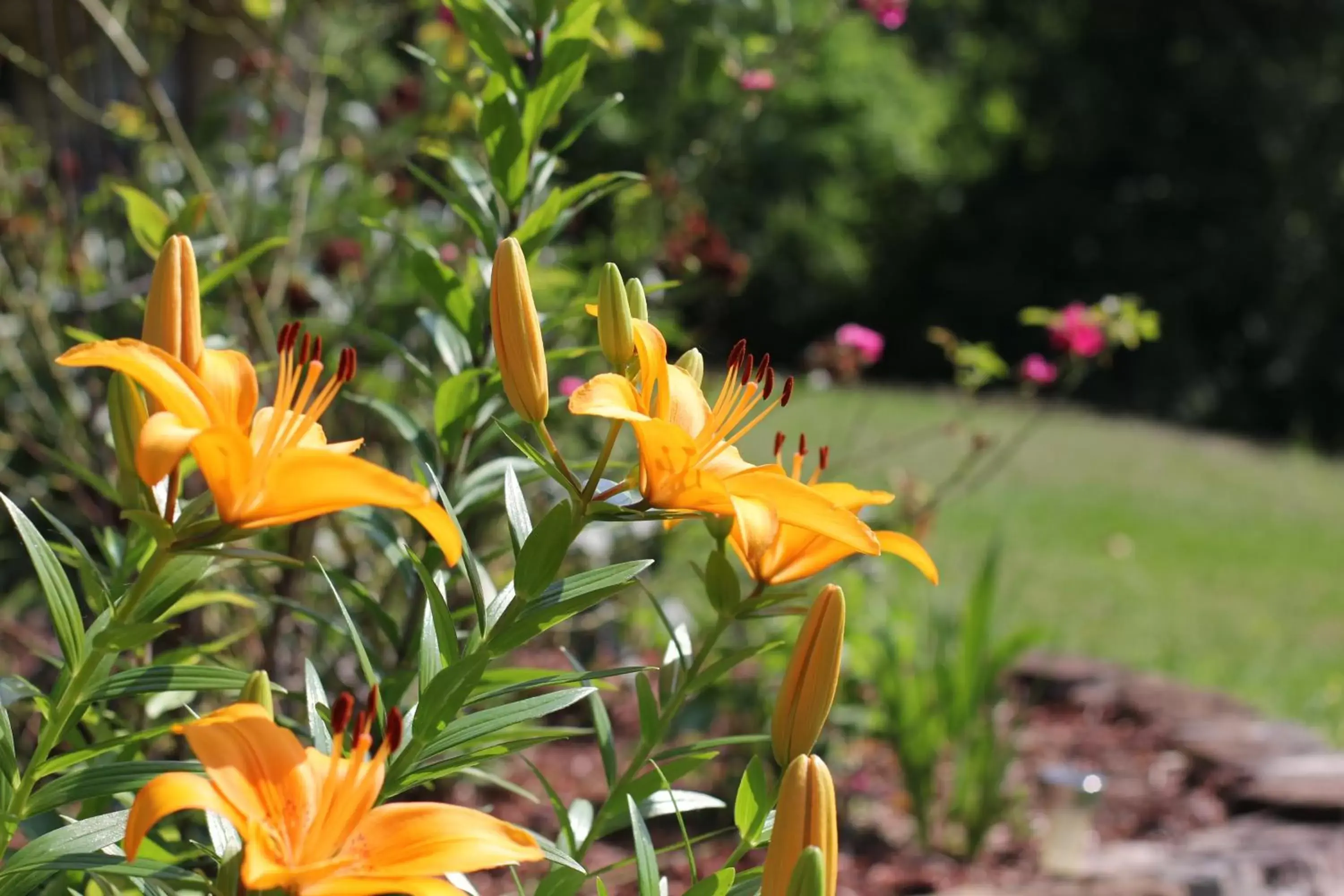 Garden in Mill Creek Resort on Table Rock Lake