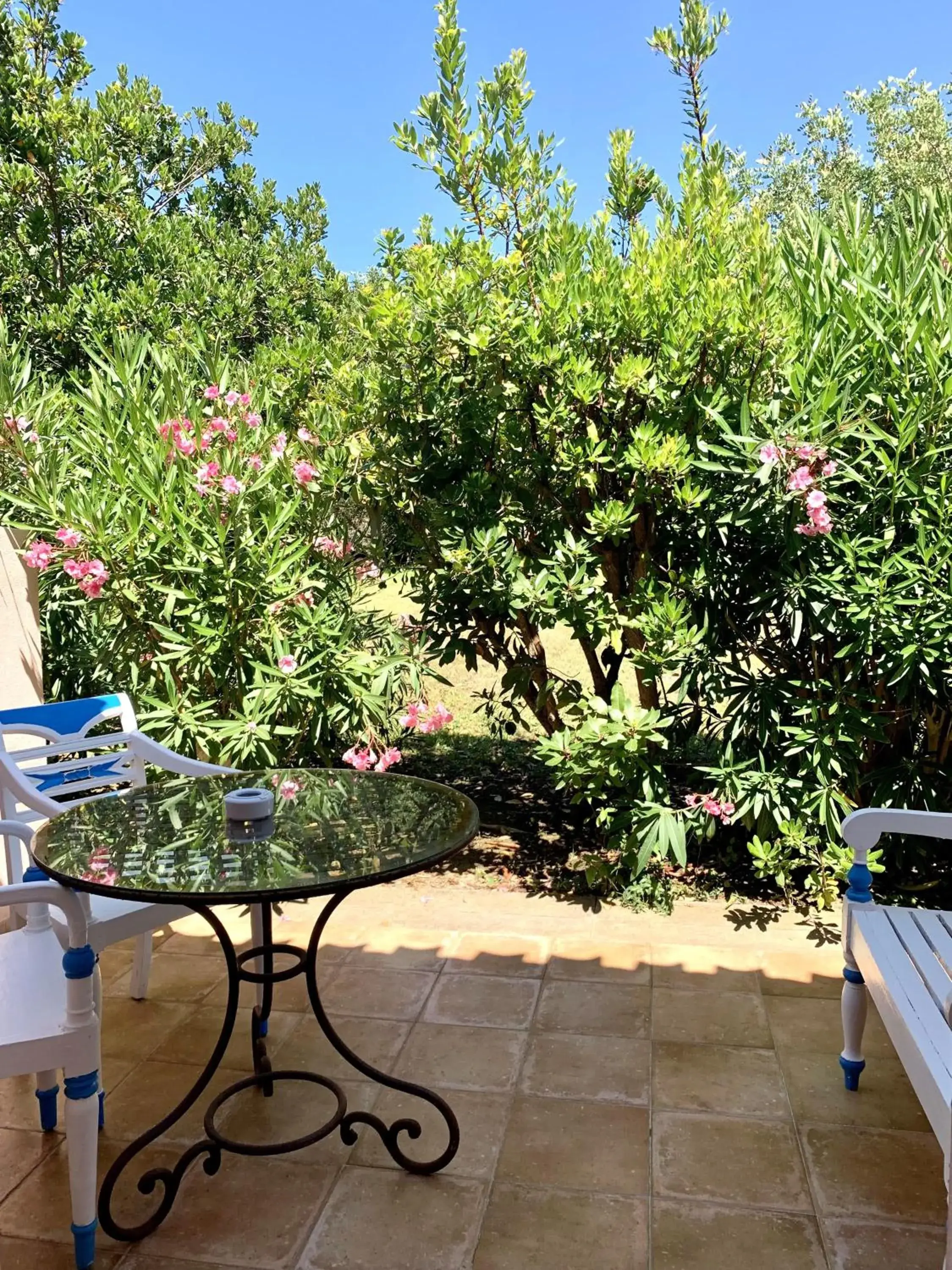 Balcony/Terrace in Hotel Cala Caterina