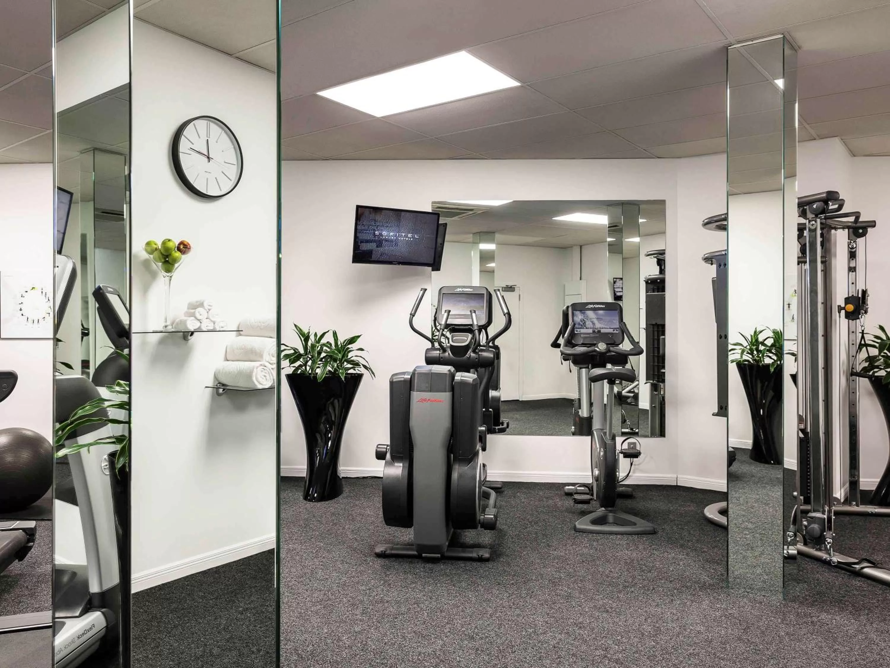 Fitness centre/facilities in Sofitel Queenstown Hotel & Spa