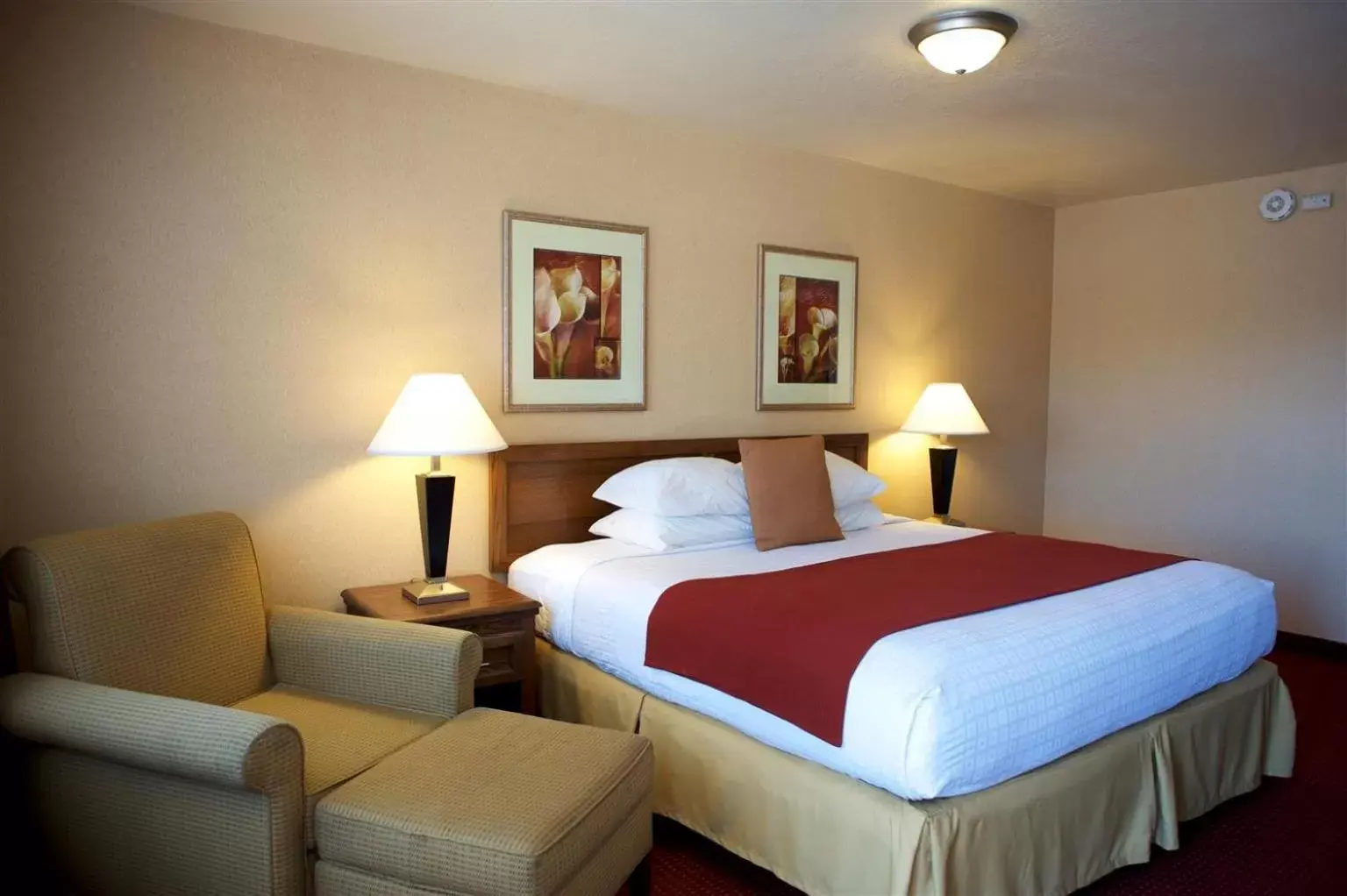 Queen Room with Roll-In Shower - Disability Access in Best Western Grants Pass Inn