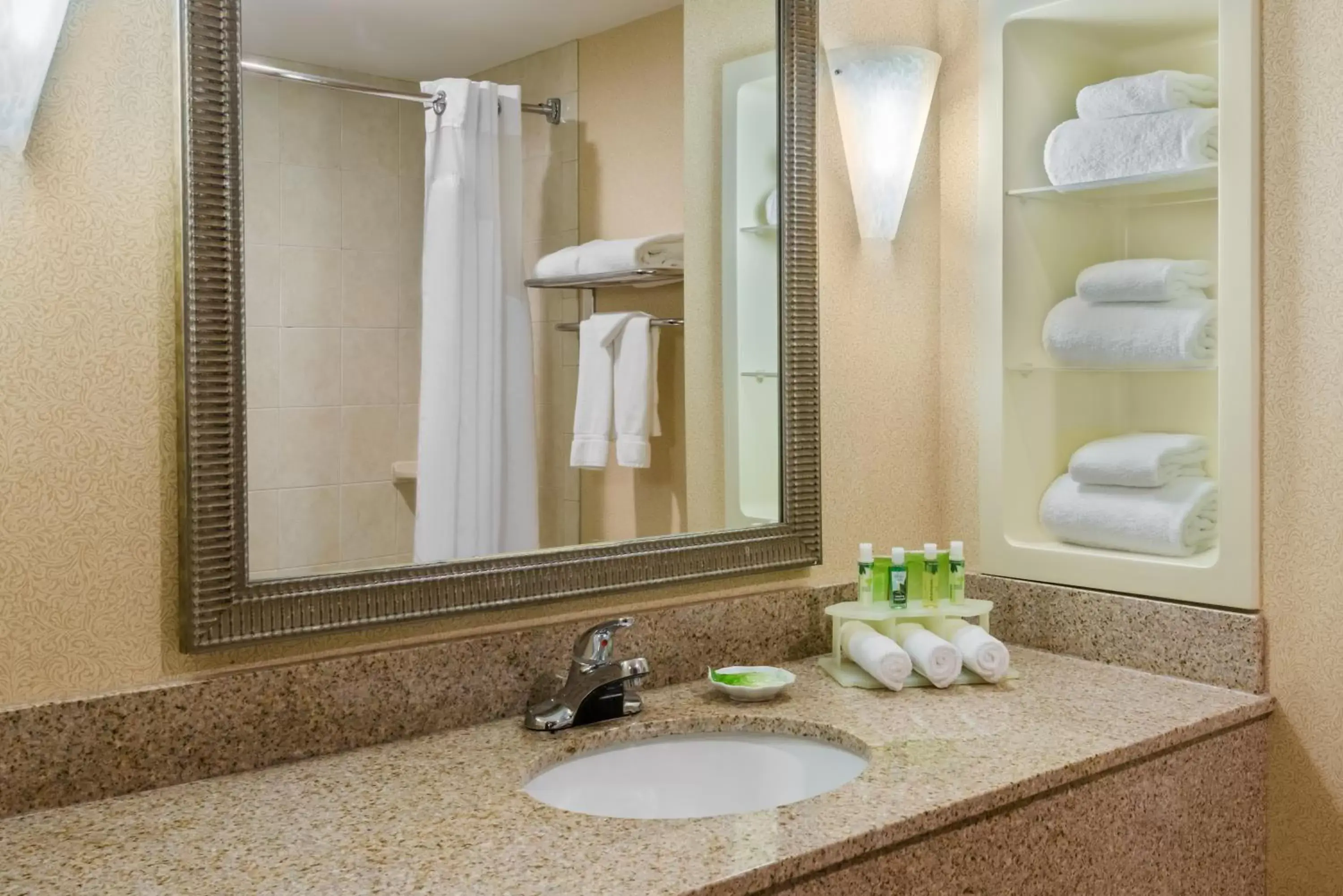 Bathroom in Holiday Inn Express Hotel & Suites Rochester Webster, an IHG Hotel