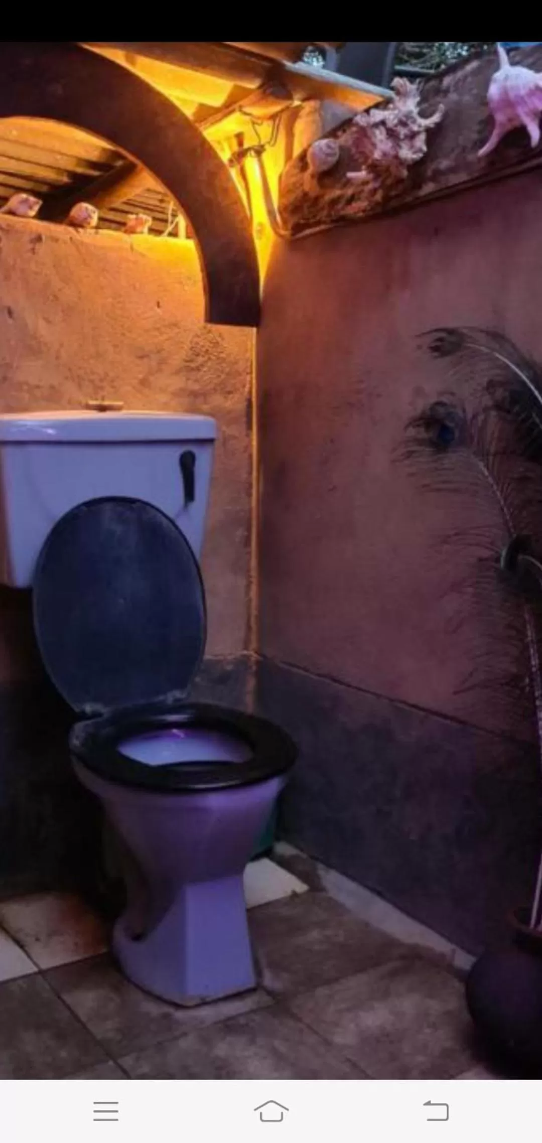 Bathroom in Jungle river humbhaha hostel