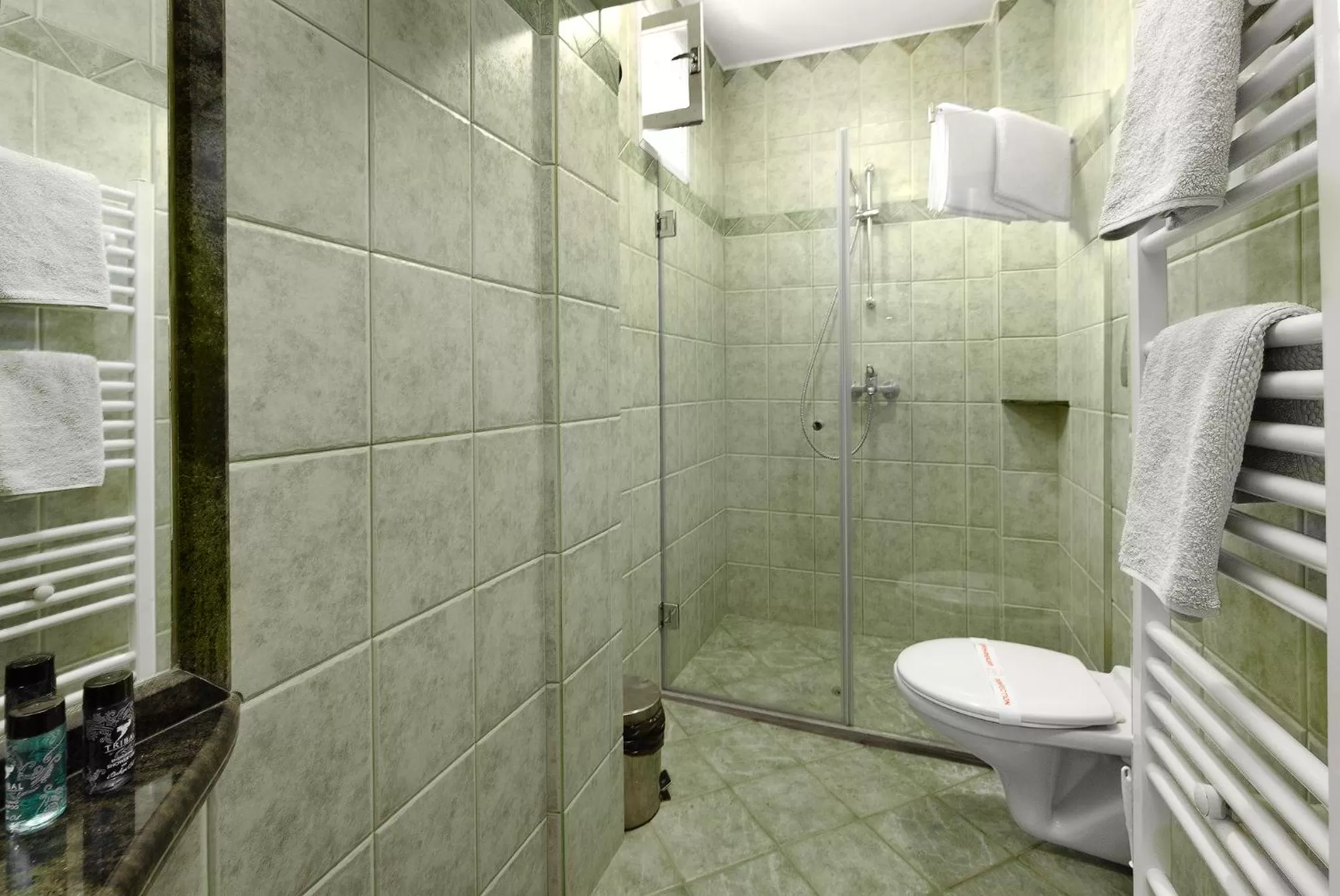 Bathroom in Boryana Hotel