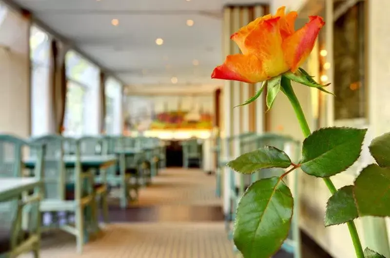 Restaurant/Places to Eat in Hotel Senator Hamburg