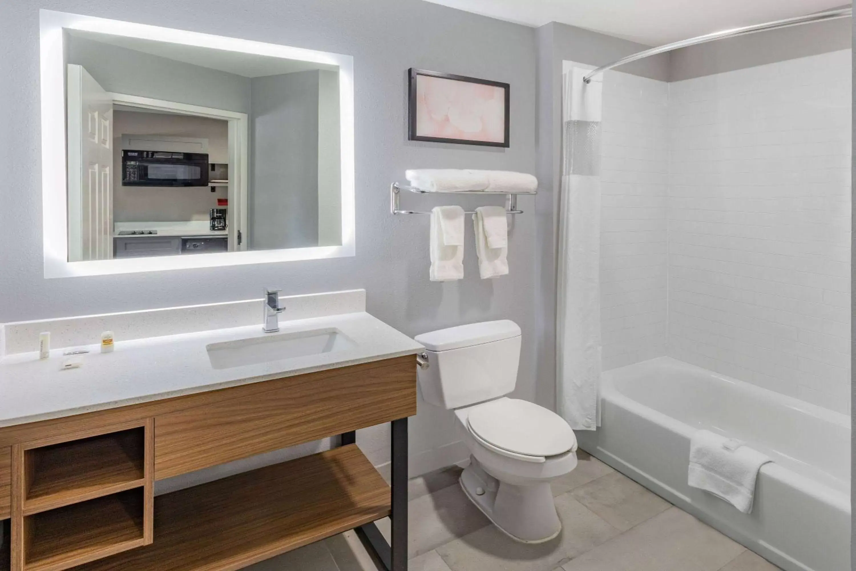 Bathroom in Hawthorn Extended Stay by Wyndham Ardmore Bathroom in Hawthorn Extended Stay by Wyndham Ardmore