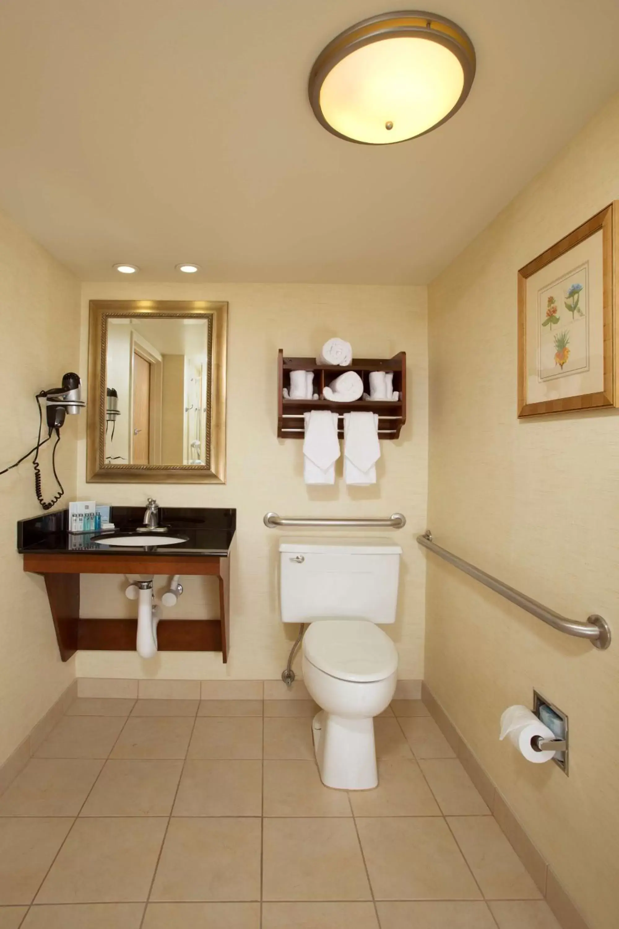 Bathroom in Hampton Inn Alexandria