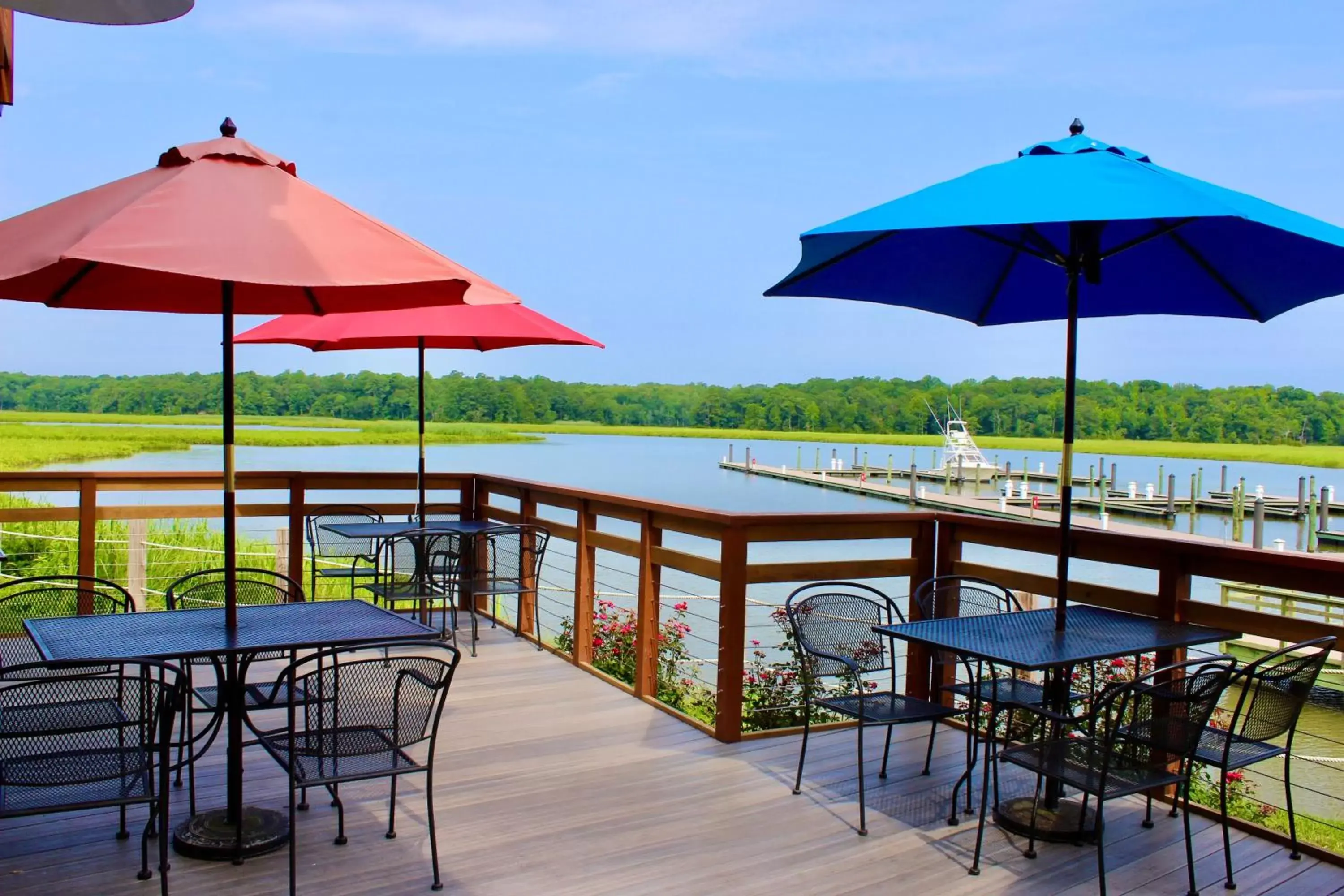 Patio, Restaurant/Places to Eat in Surry Seafood Company