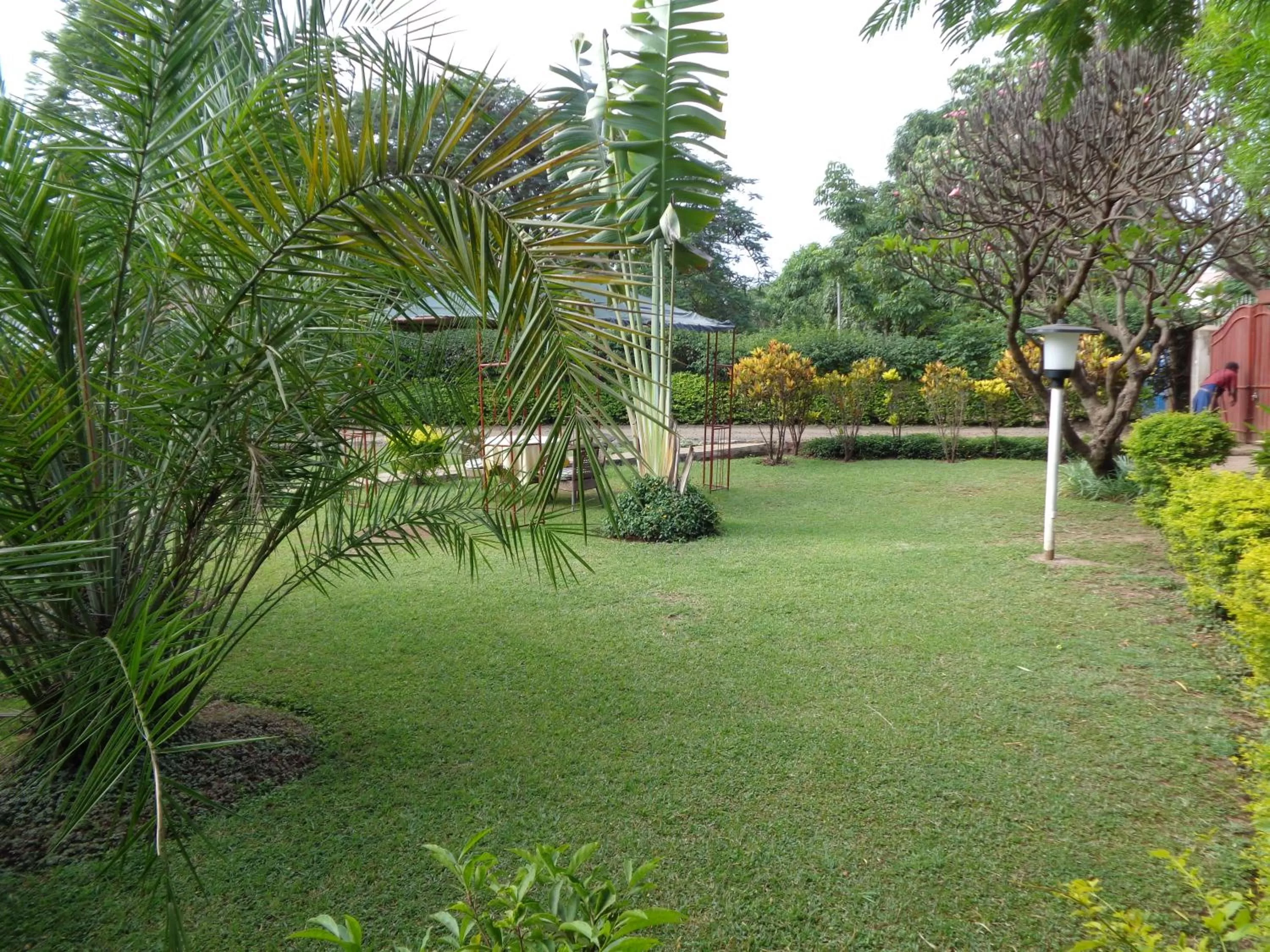 Garden in The Clarice House