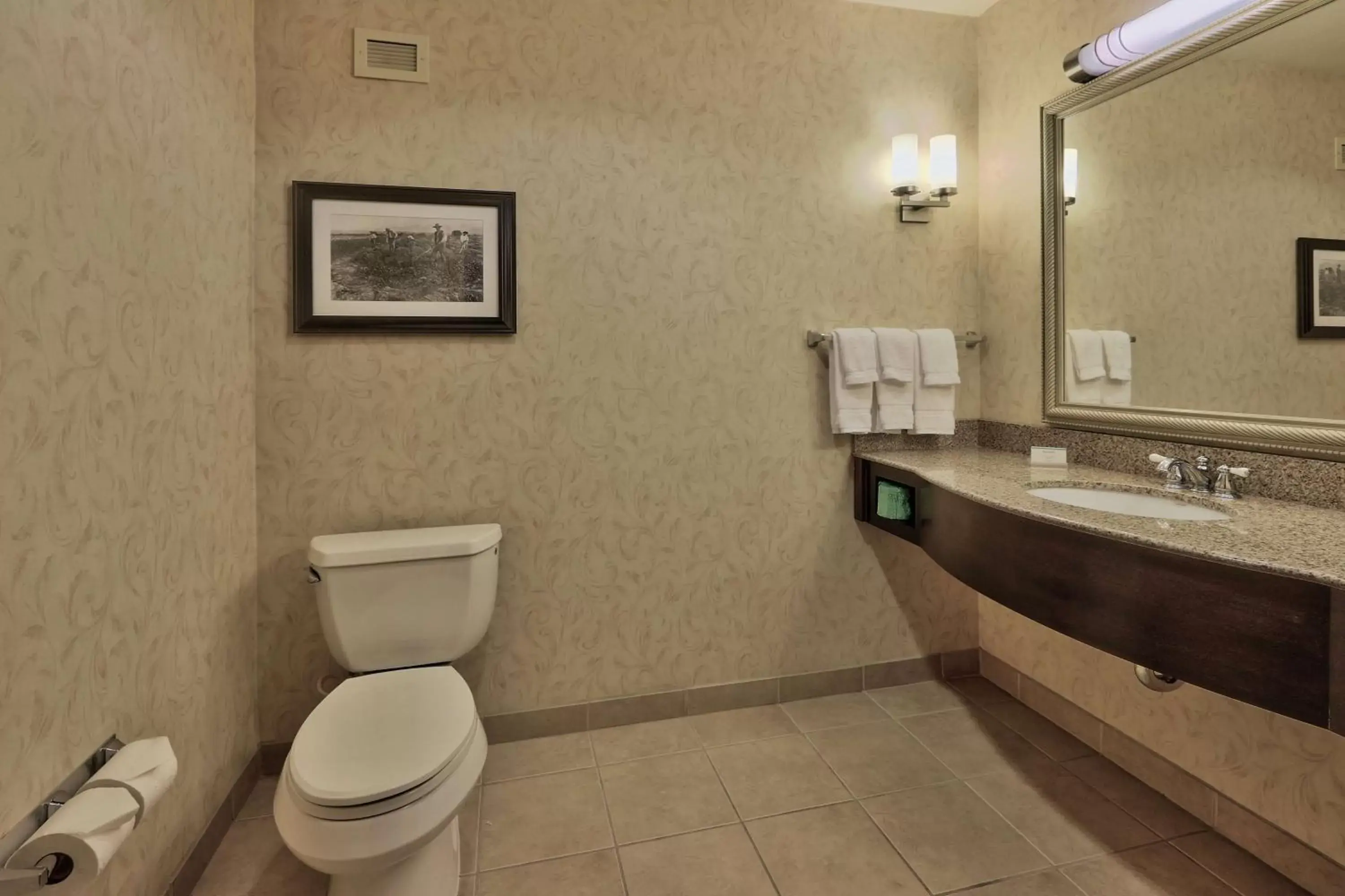 Bathroom in Hilton Garden Inn Las Cruces