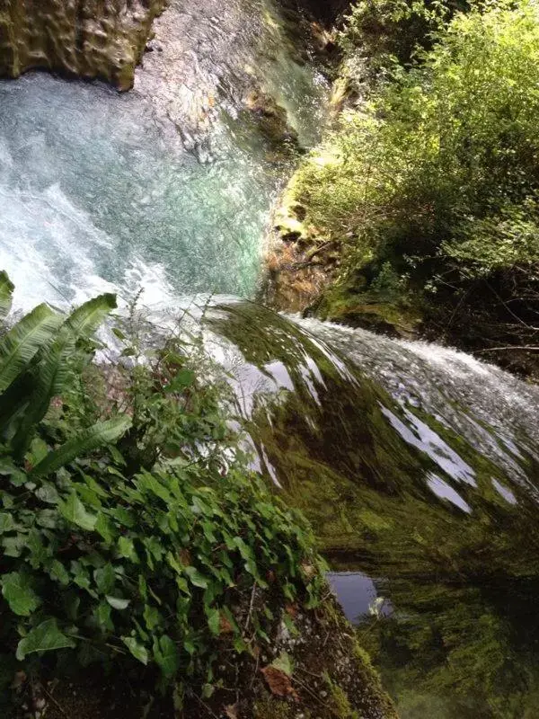 Natural Landscape in B&B Casalnovo