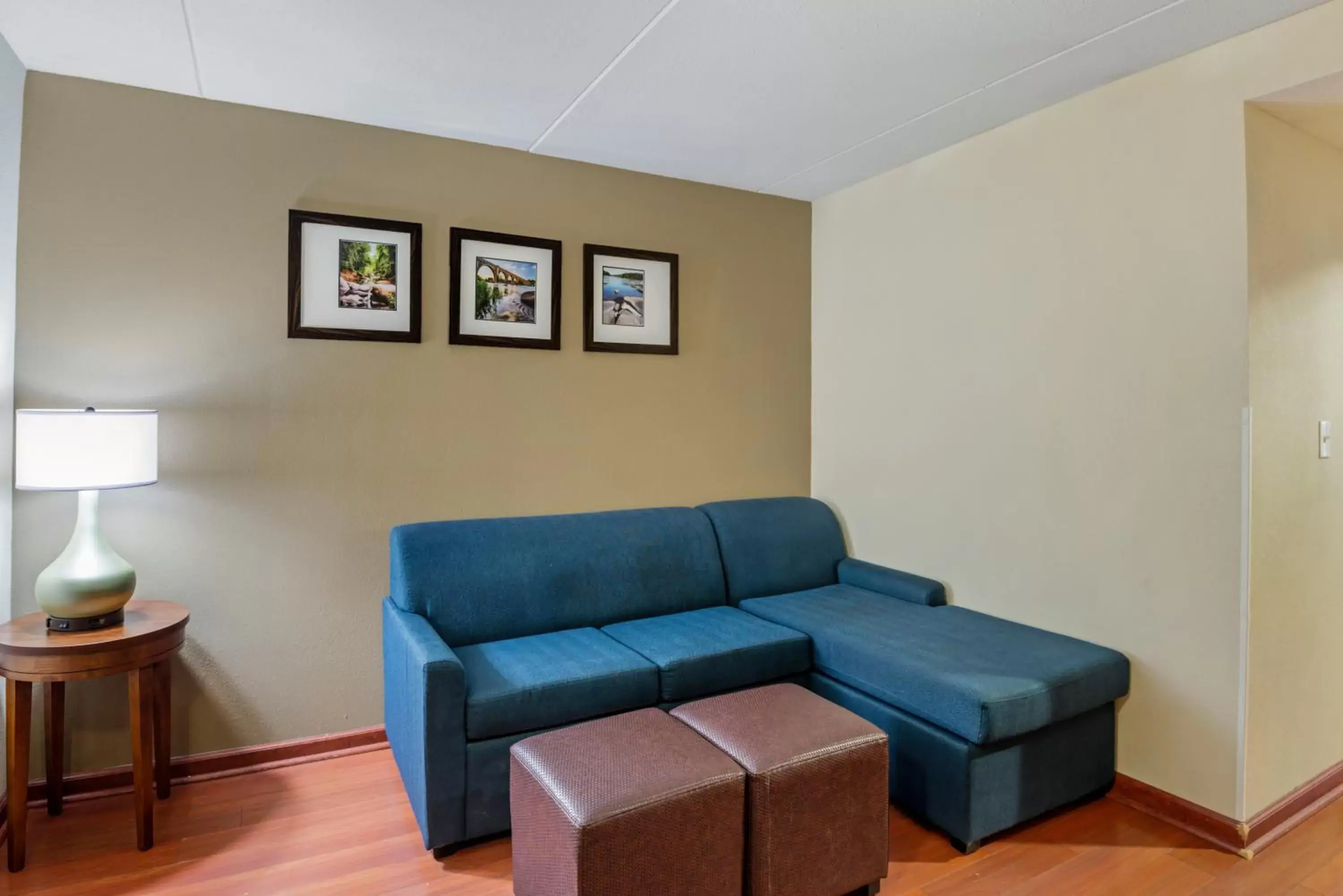 Seating Area in Comfort Suites at Virginia Center Commons