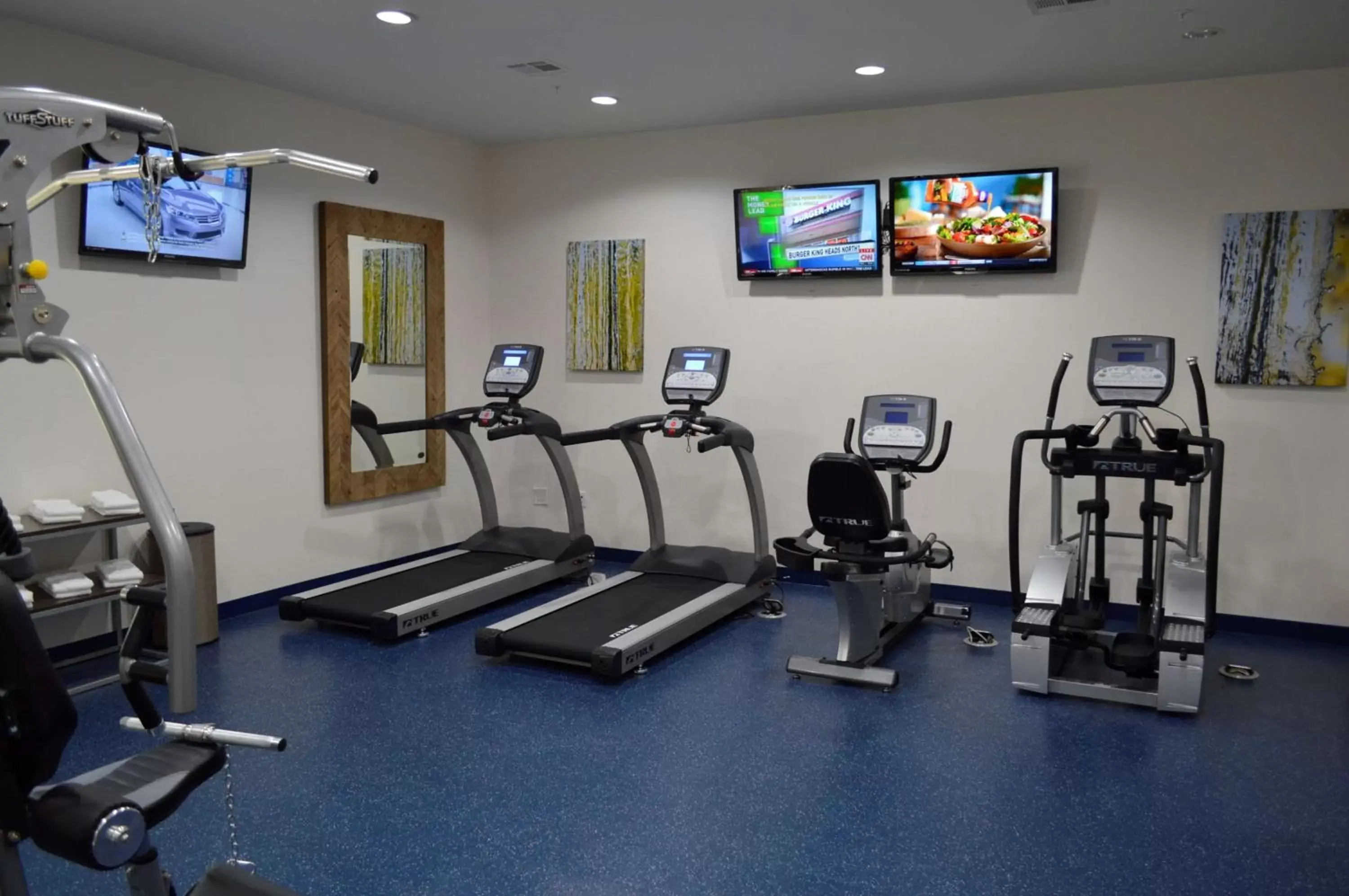 Fitness centre/facilities, Fitness Center/Facilities in Best Western Premier Ashton Suites - Willowbrook