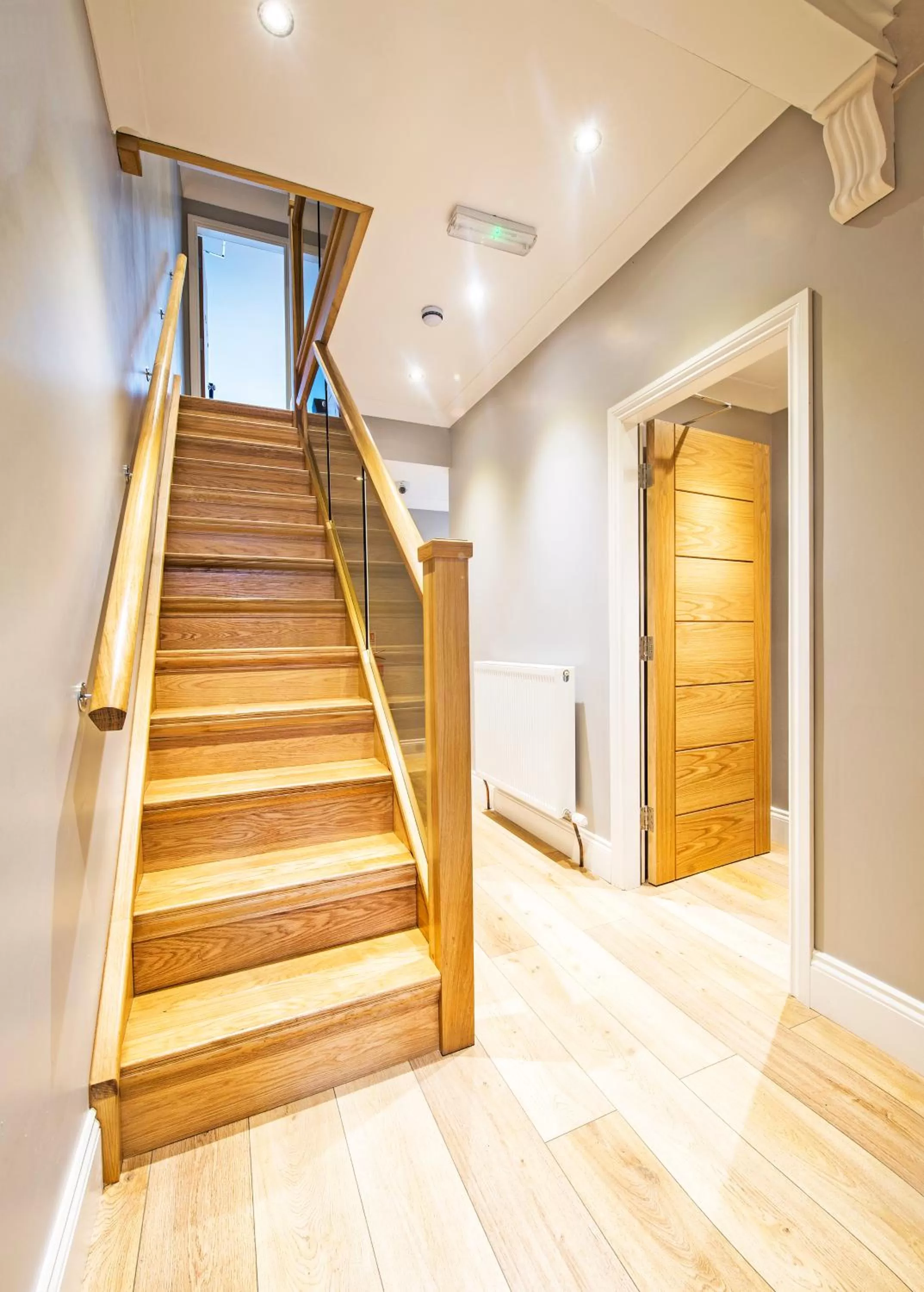 Area and facilities in Dolphin Rooms