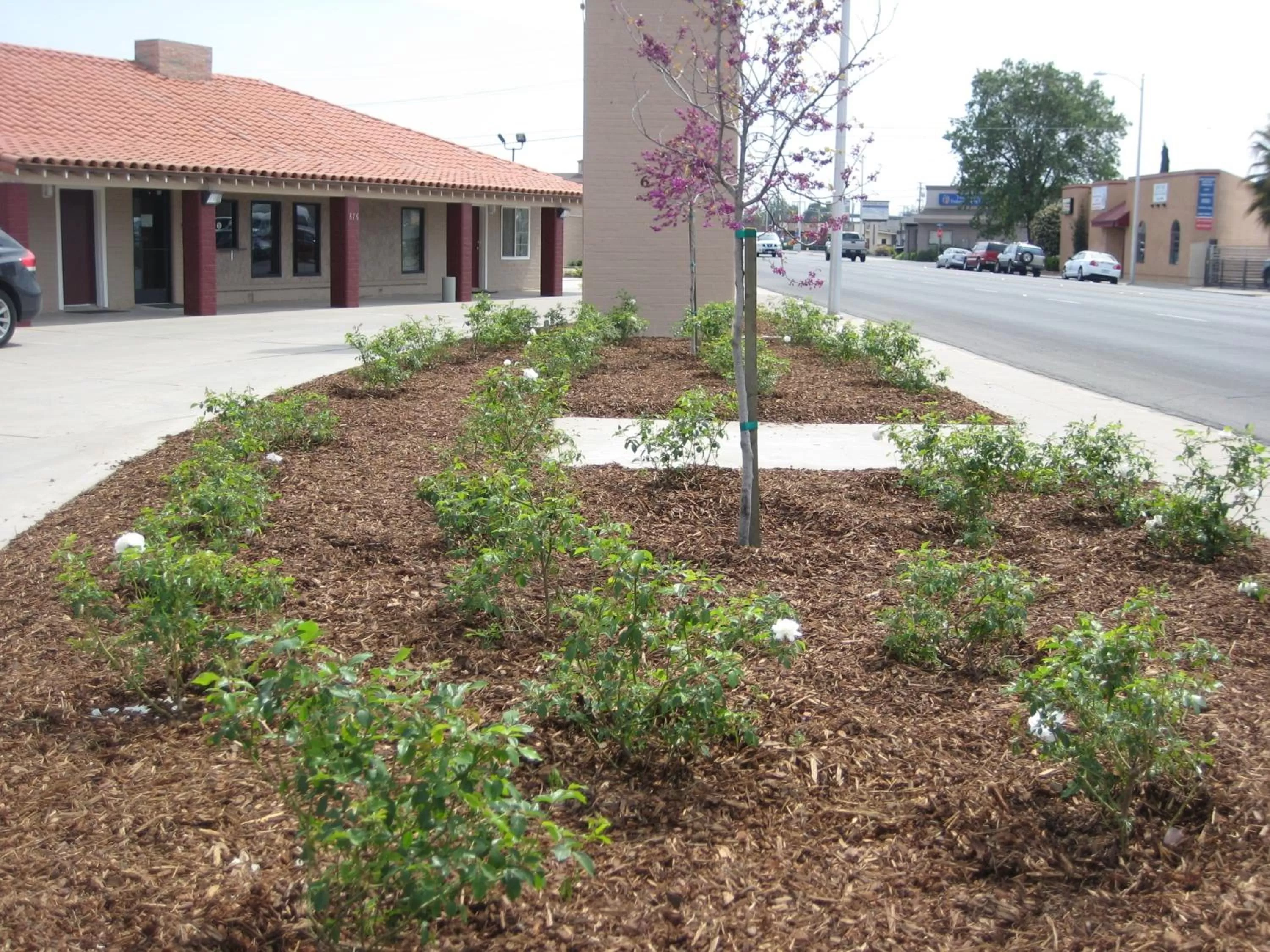 Garden in Americas Best Value Inn - Porterville