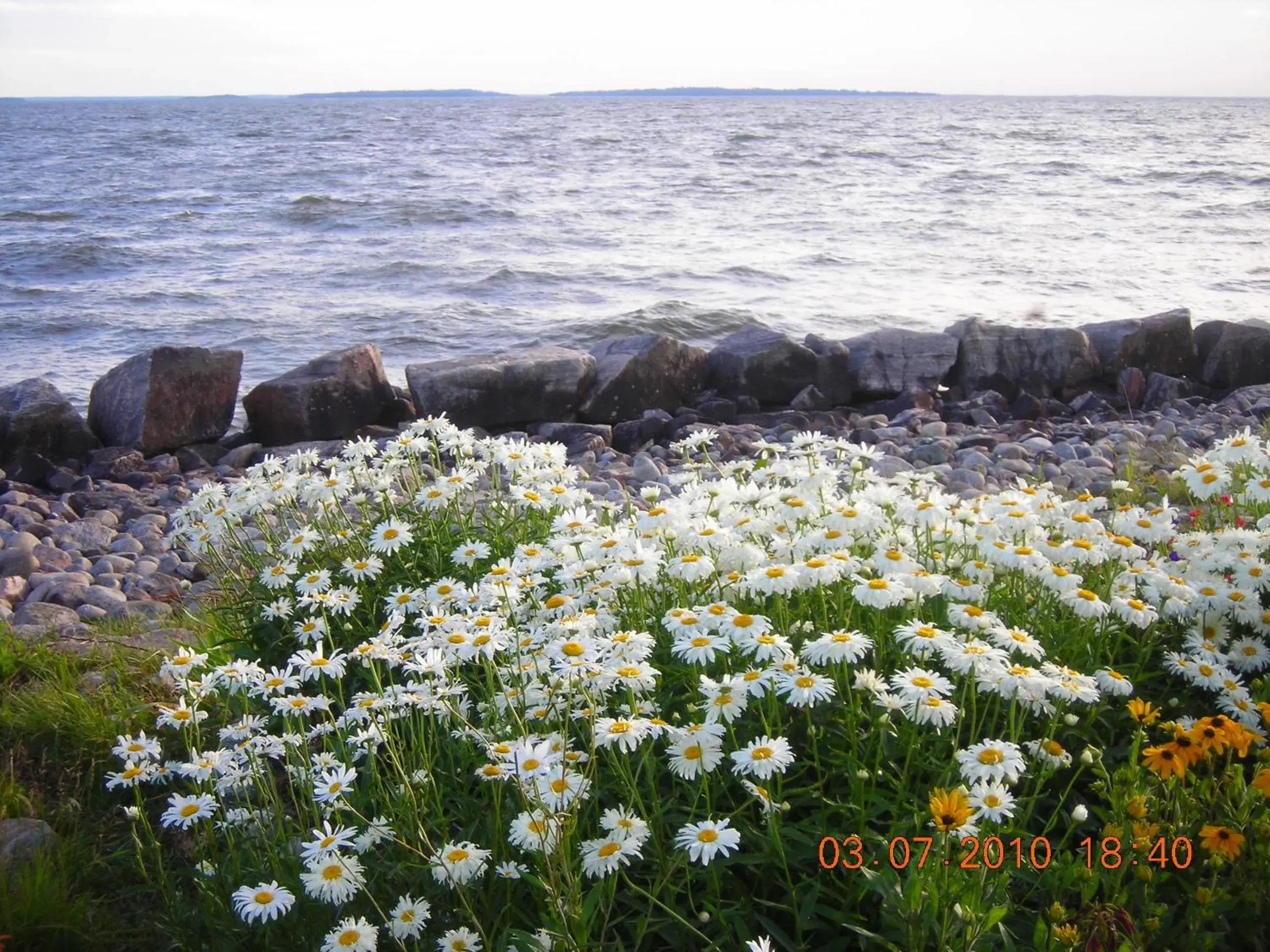 Natural landscape in North Bay Inn