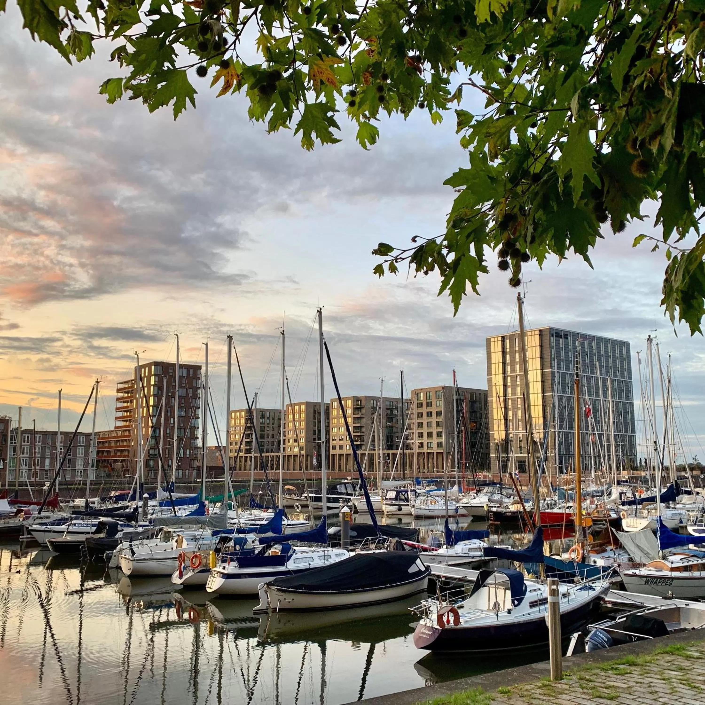 Nearby landmark in Waterfront Studio