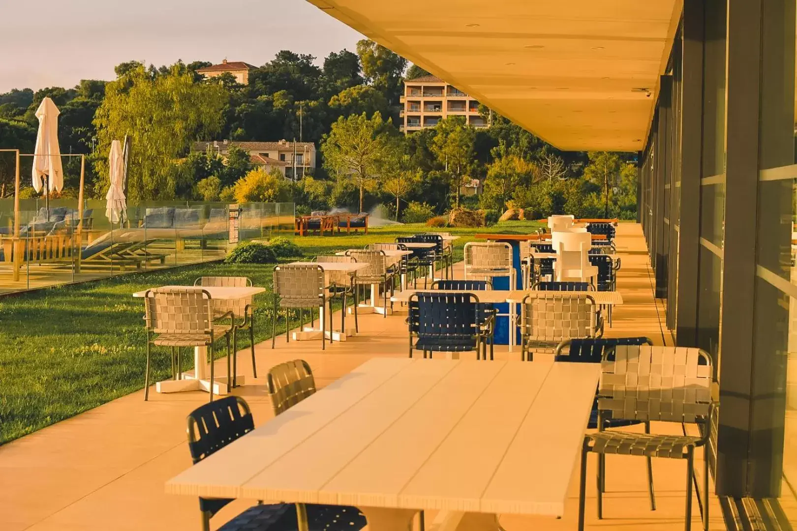Lounge or bar, Restaurant/Places to Eat in Golden Tulip Porto-Vecchio