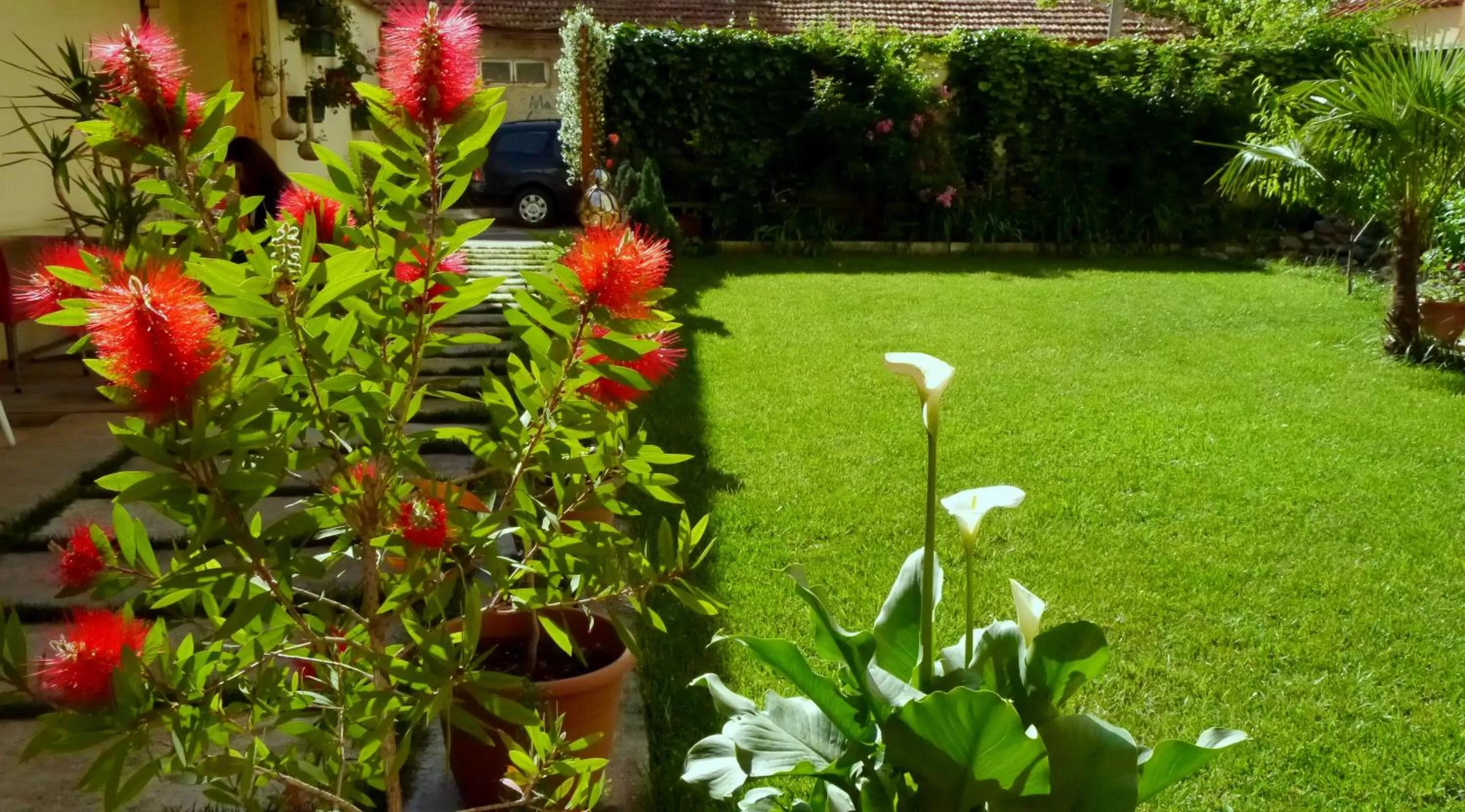 Garden in Kruja Hotel