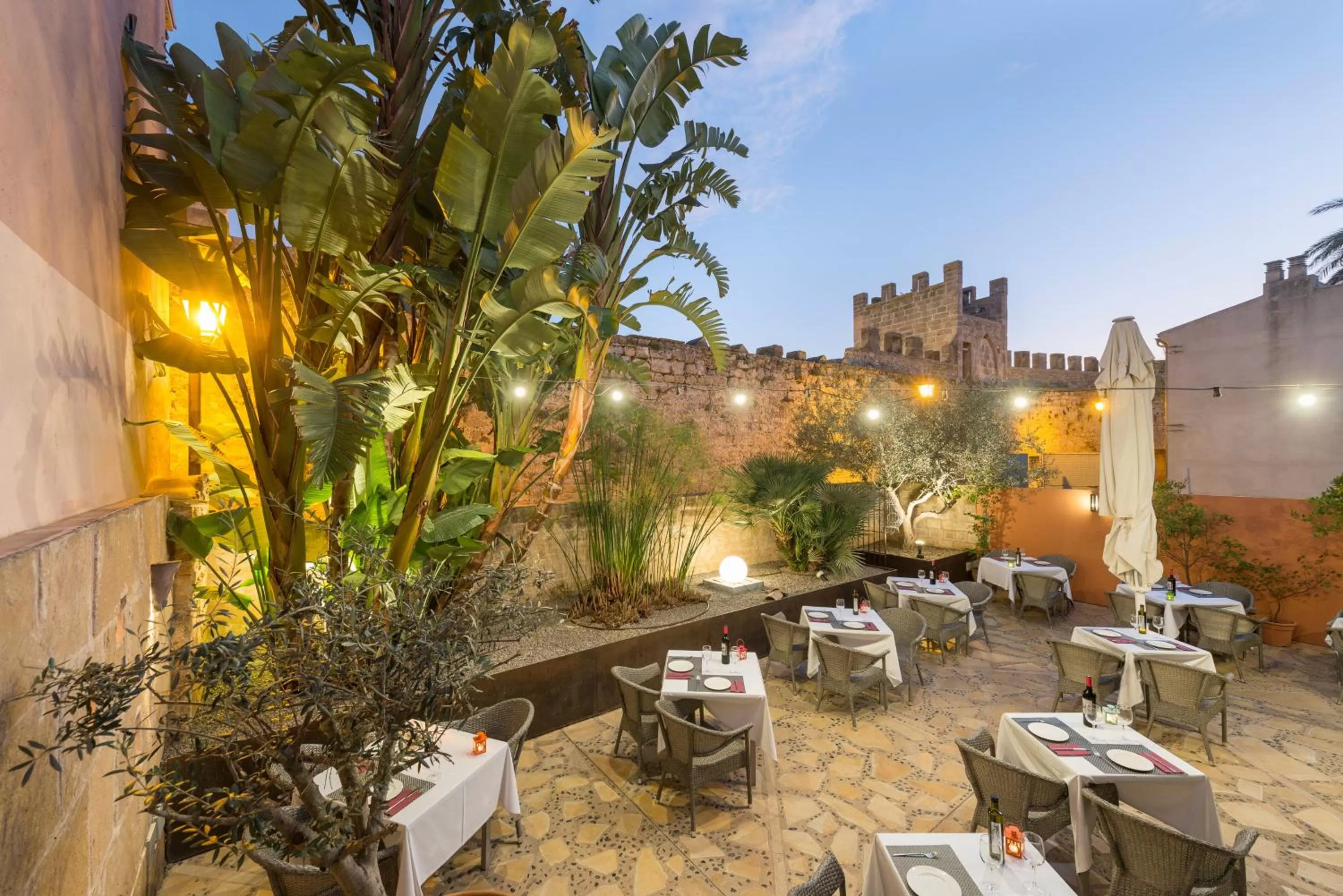 Patio in Alcudia Petit - Turismo de Interior