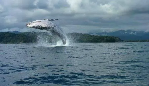 Beach in Posada El Acuario