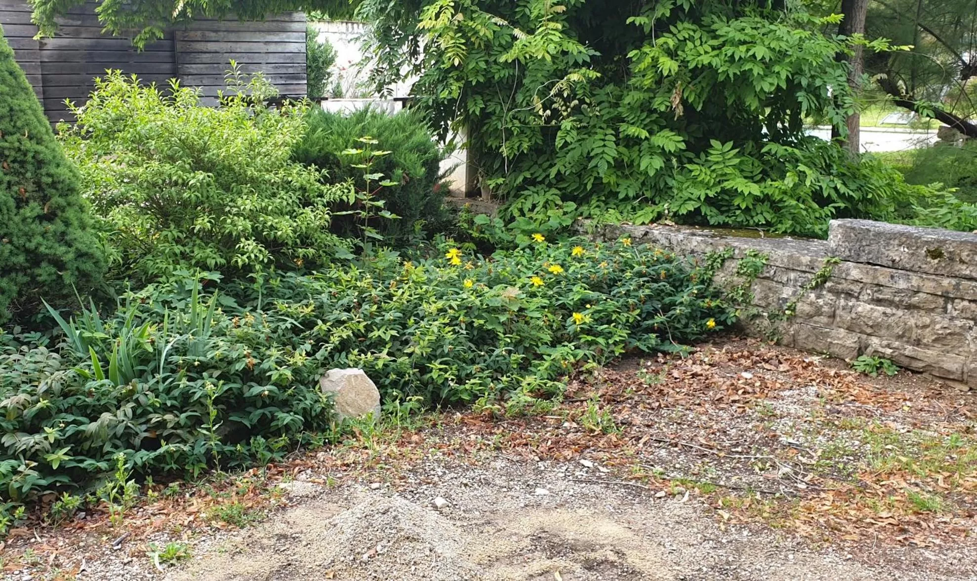 De passage chez Lili