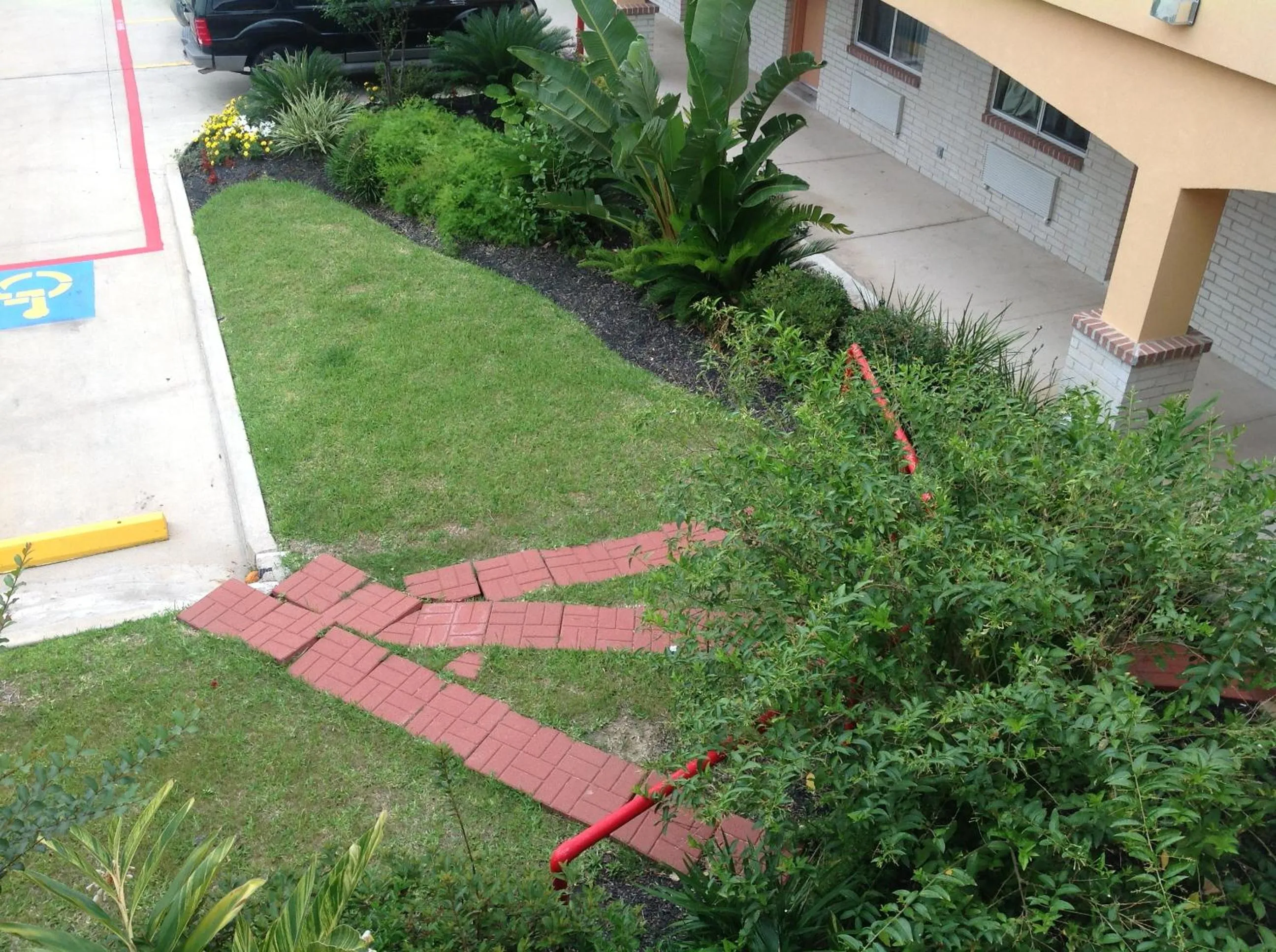 Garden view in Scottish Inns & Suites Timber Creek, Houston, TX