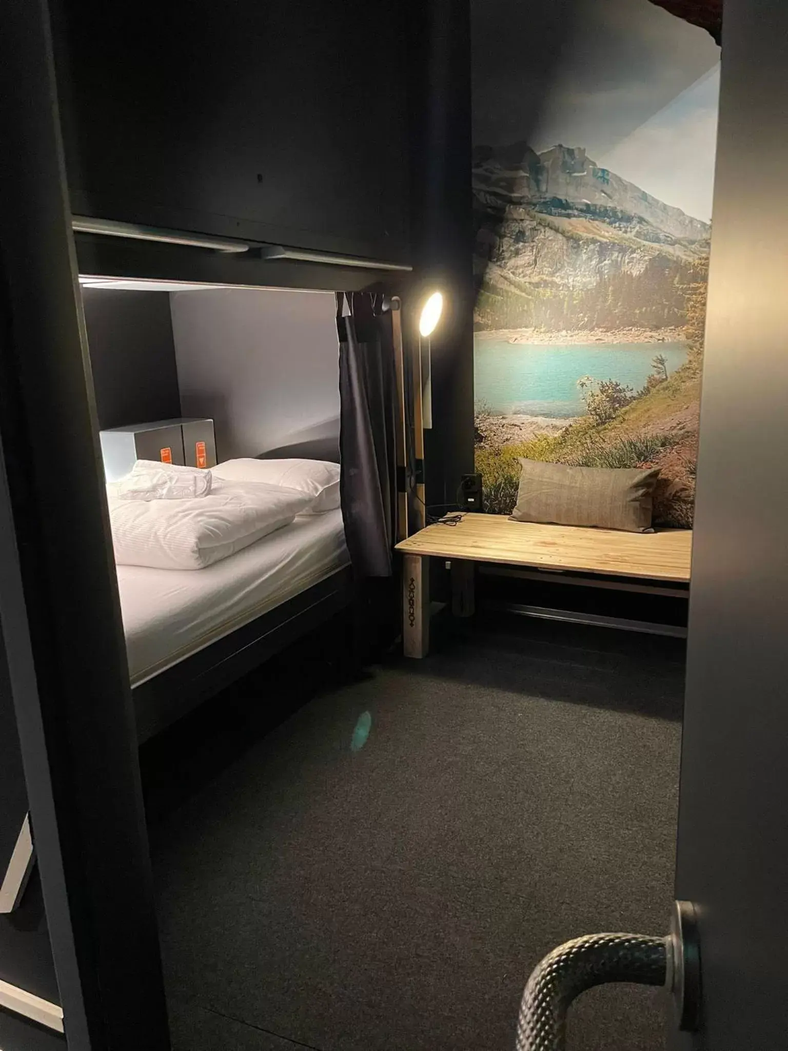 Photo of the whole room, Bunk Bed in Capsule Hotel - Alpine Garden Zurich Airport