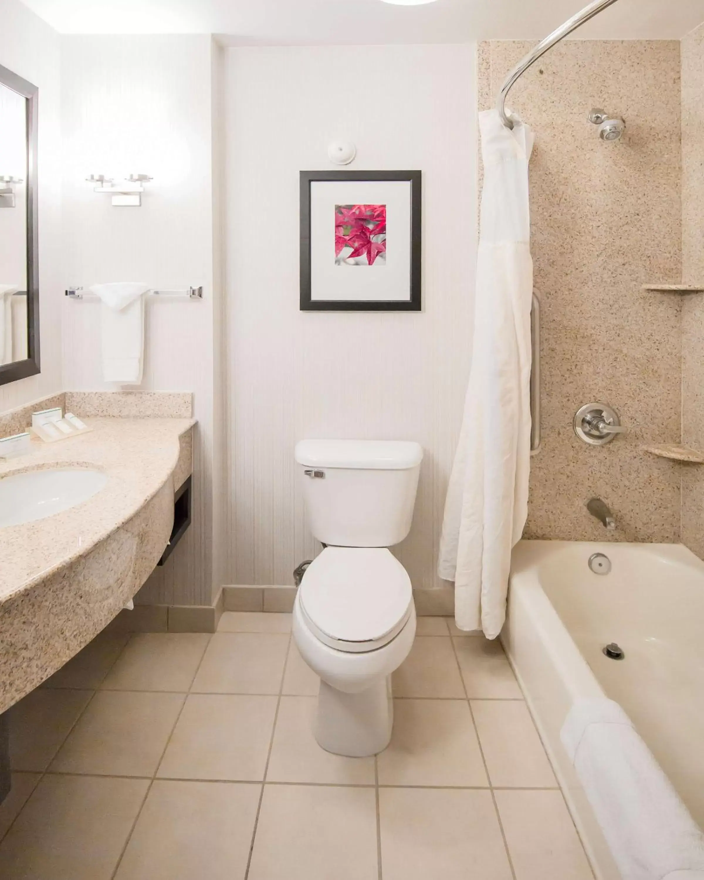 Bathroom in Hilton Garden Inn Phoenix/Avondale