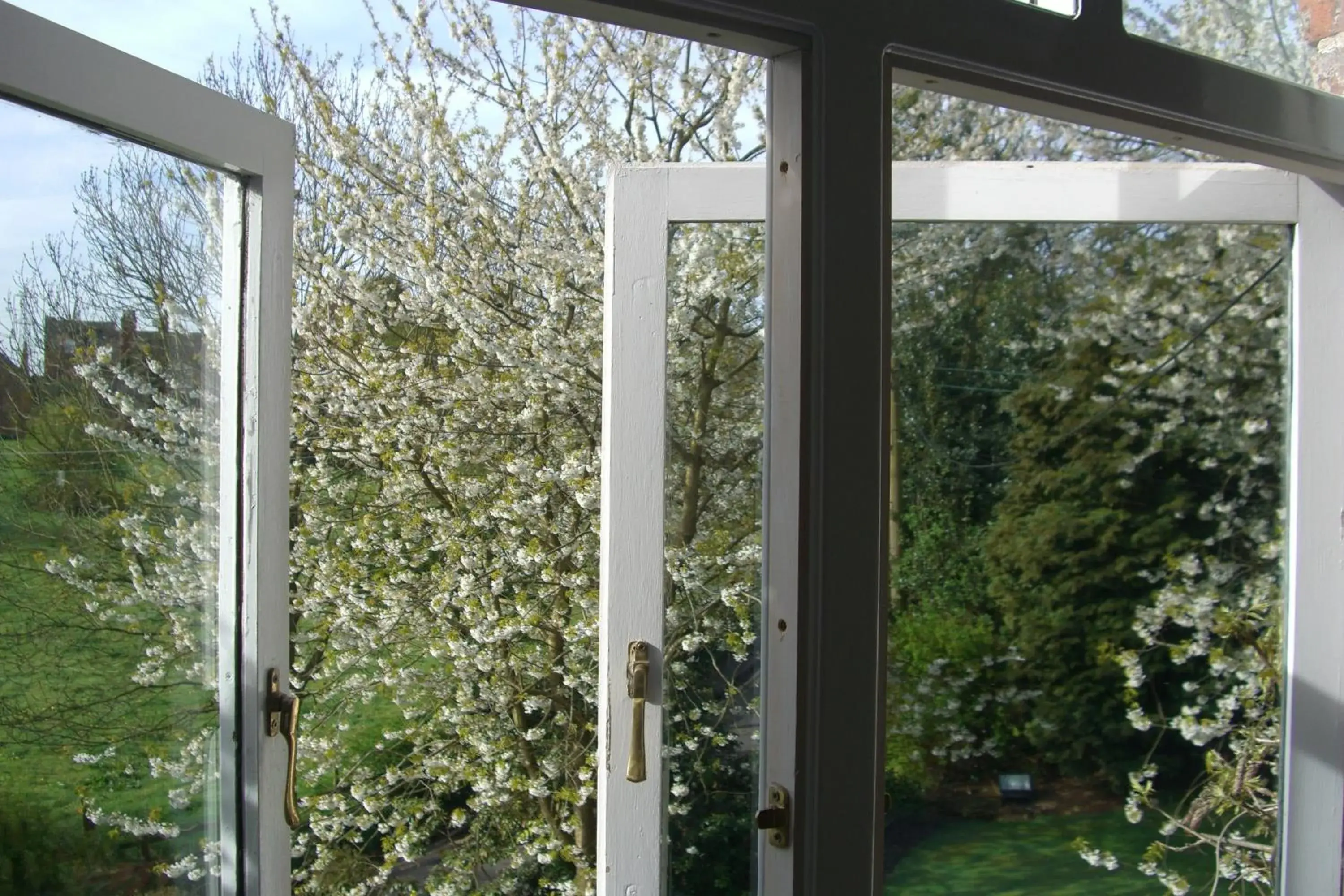 View (from property/room) in Ash Farm Country House